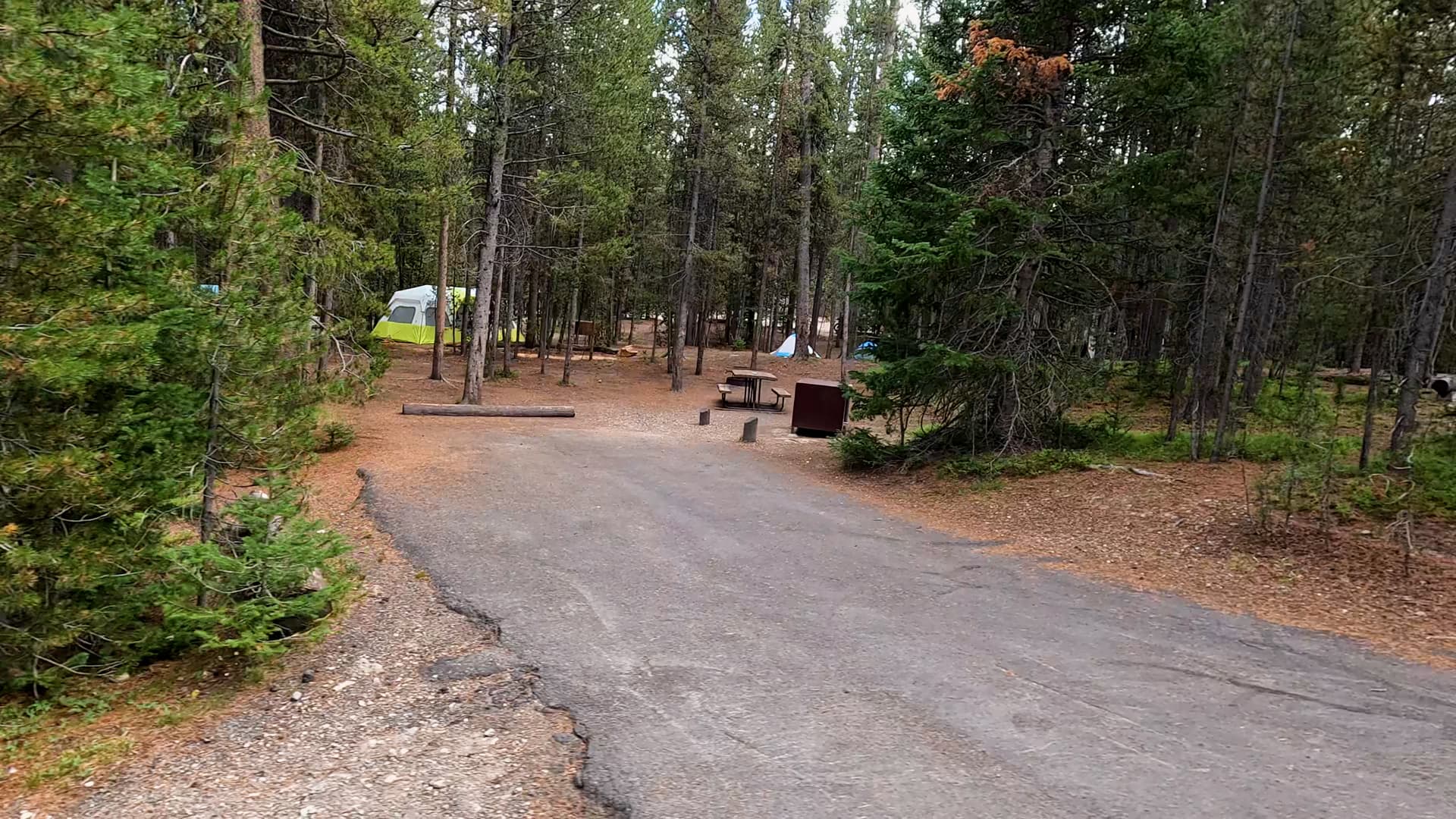 Site 273