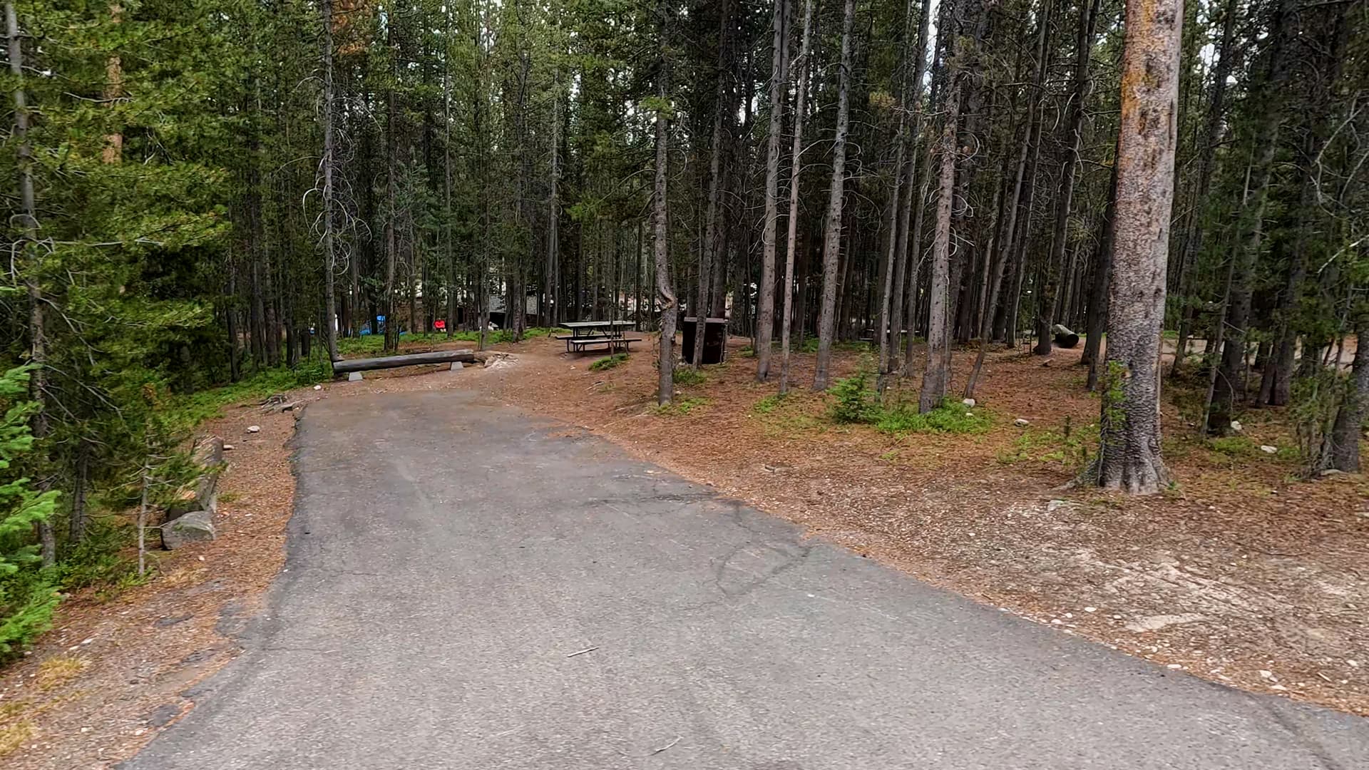 Site 274