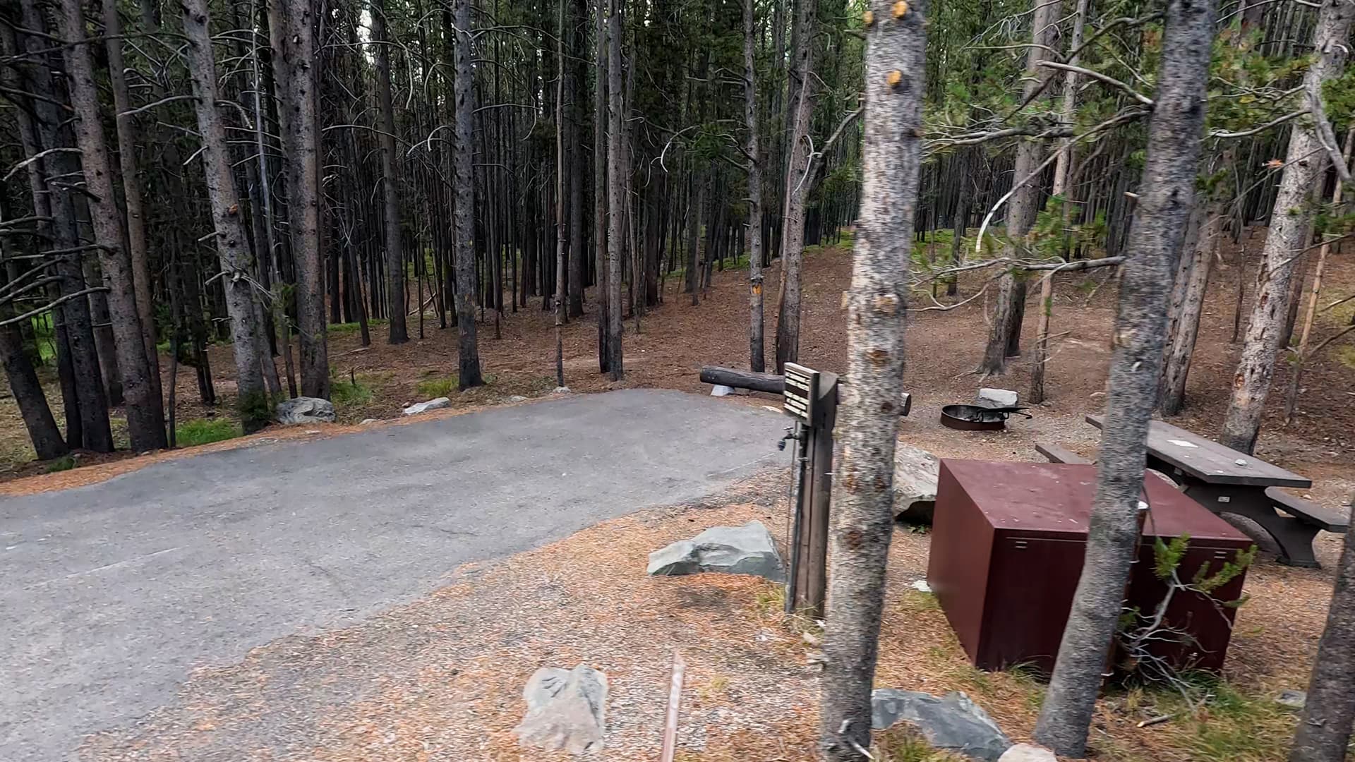 Site 281