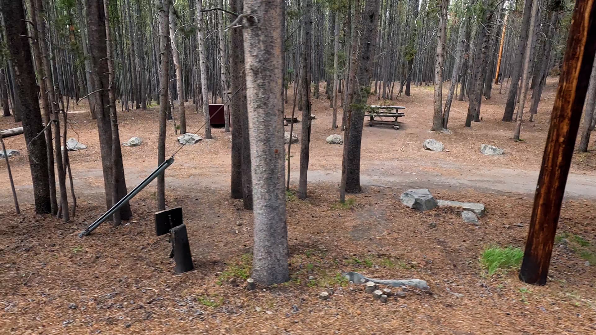 Site 279
