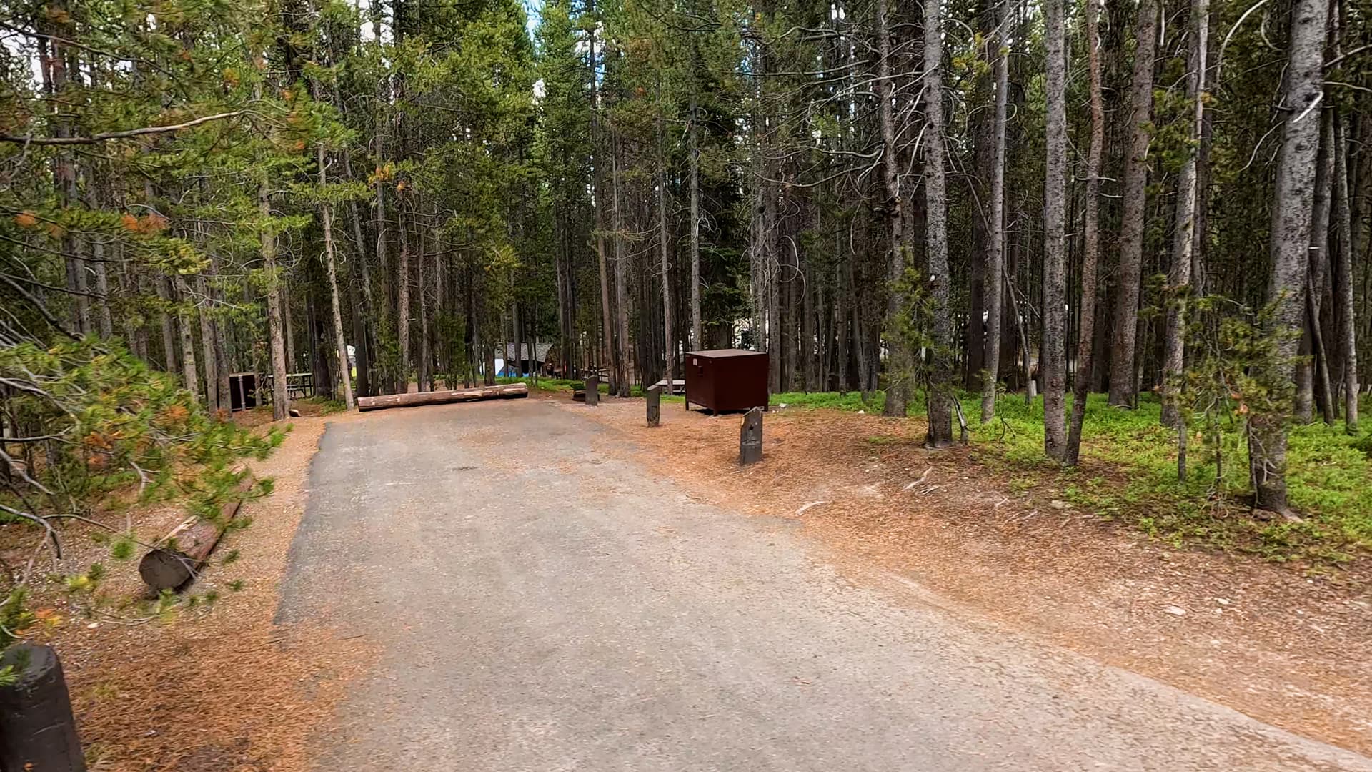 Site 276