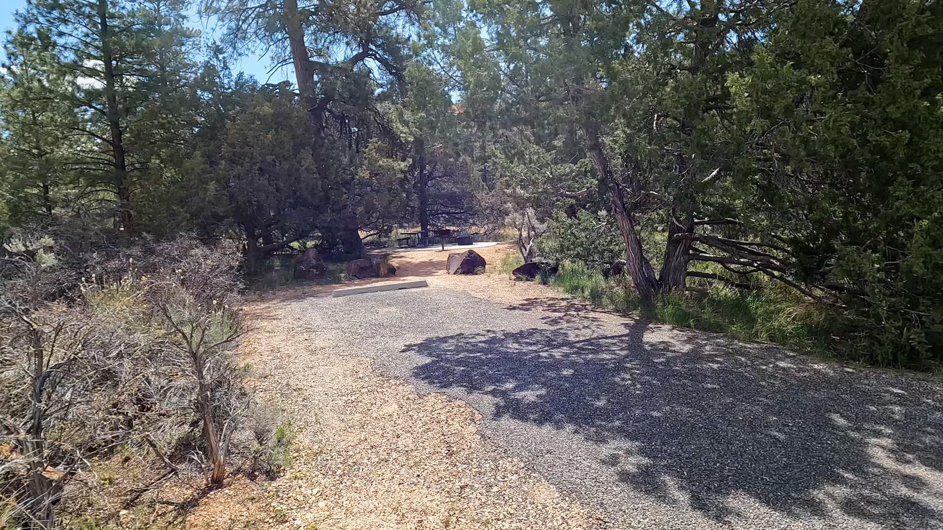 Site 7