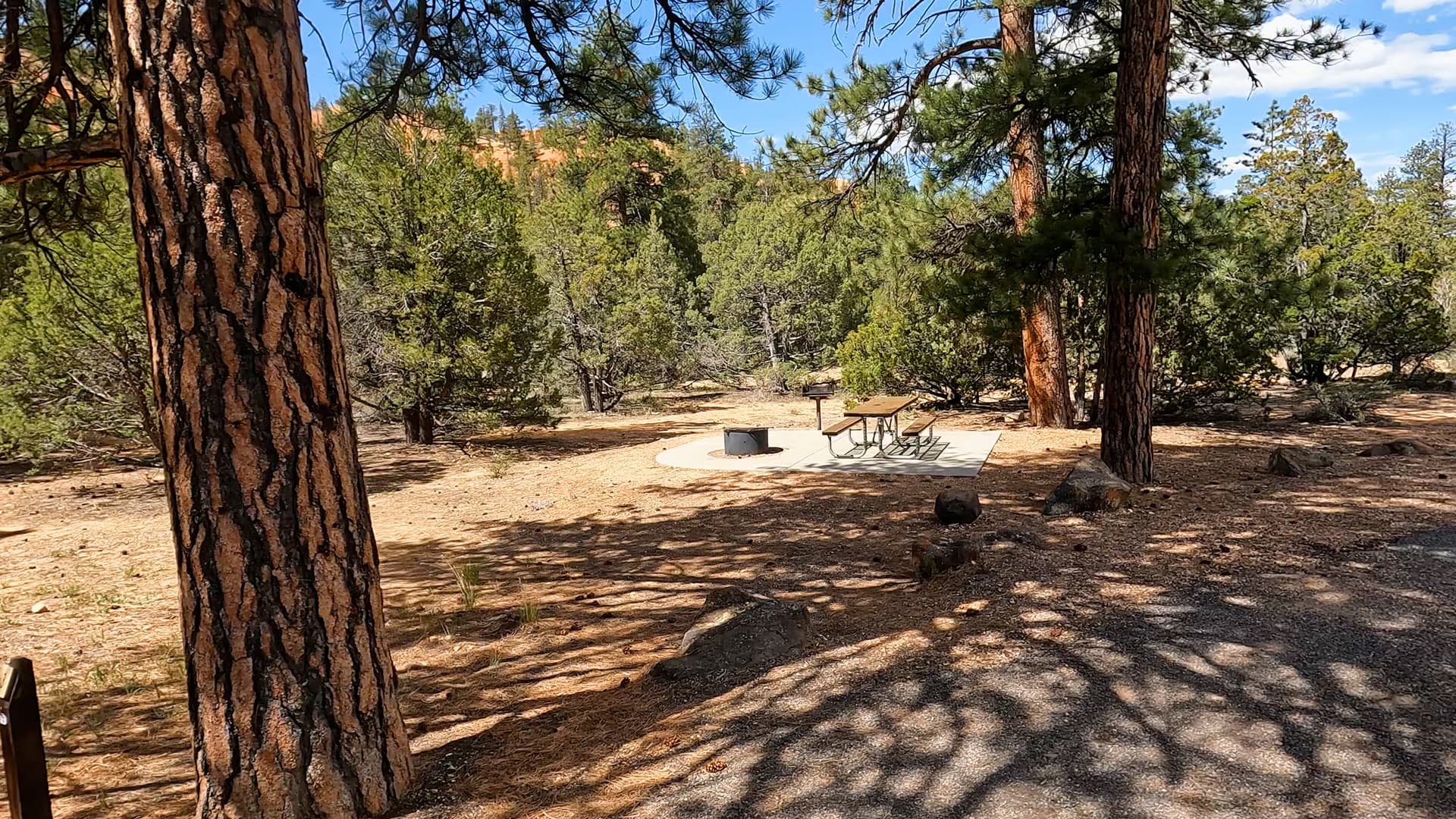 Site 3