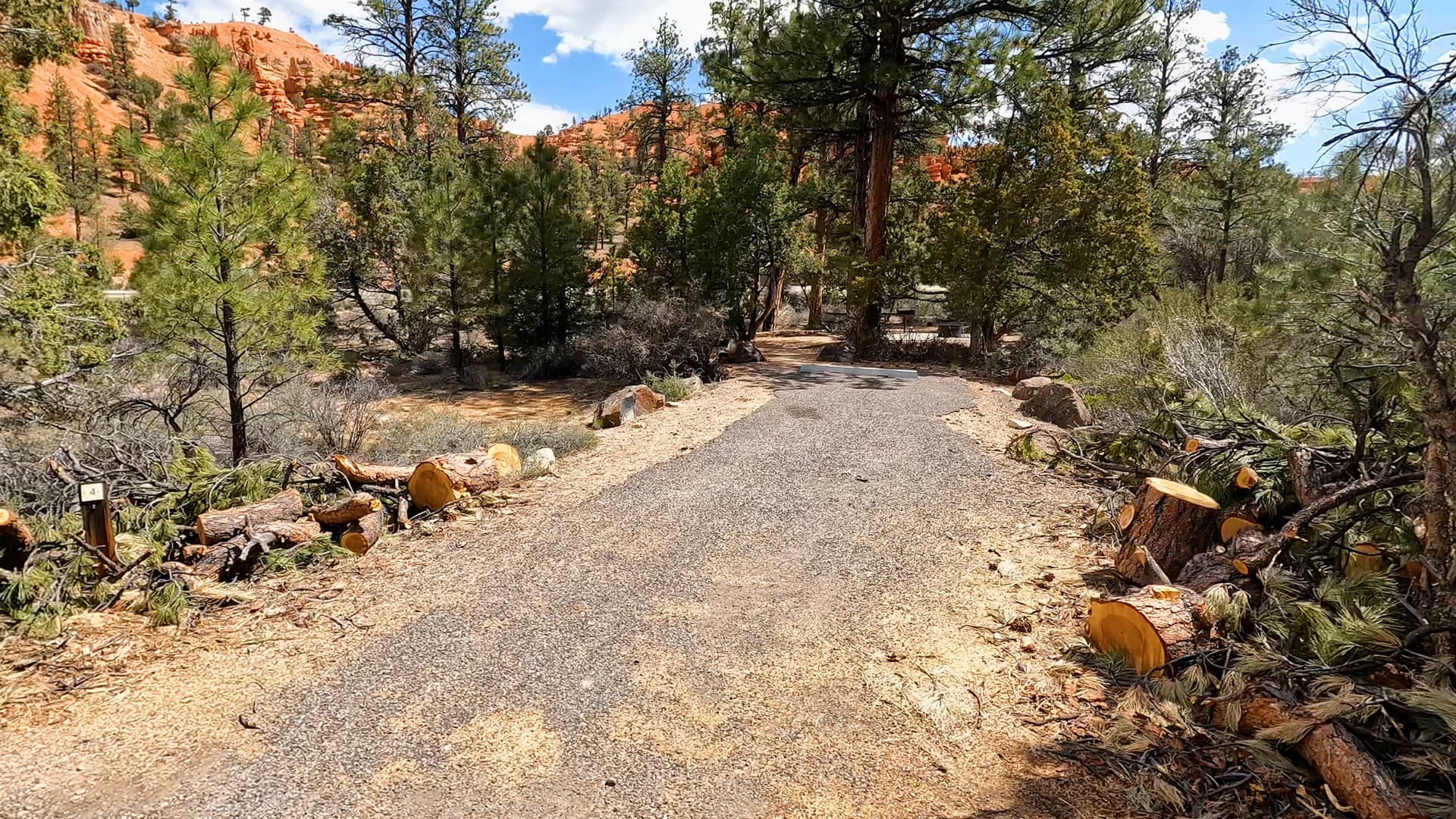 Site 4