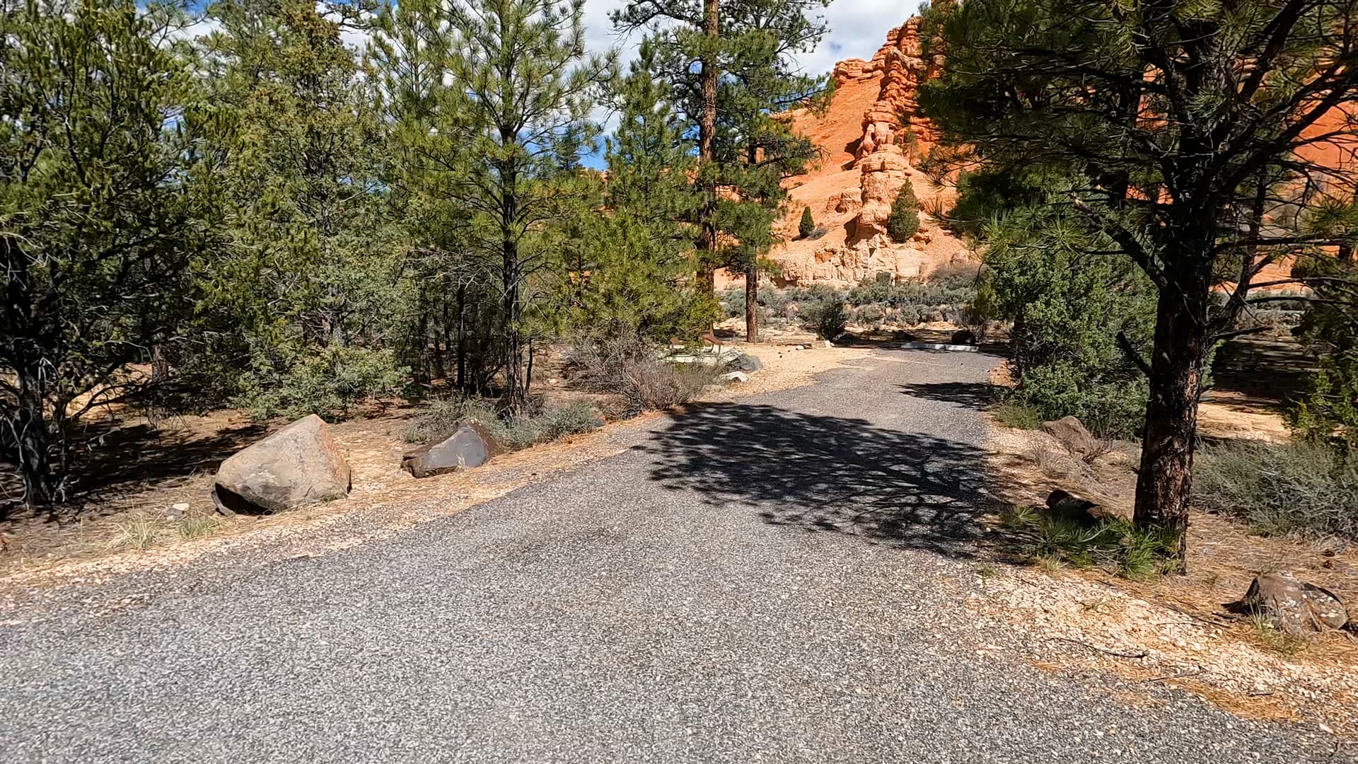 Site 6
