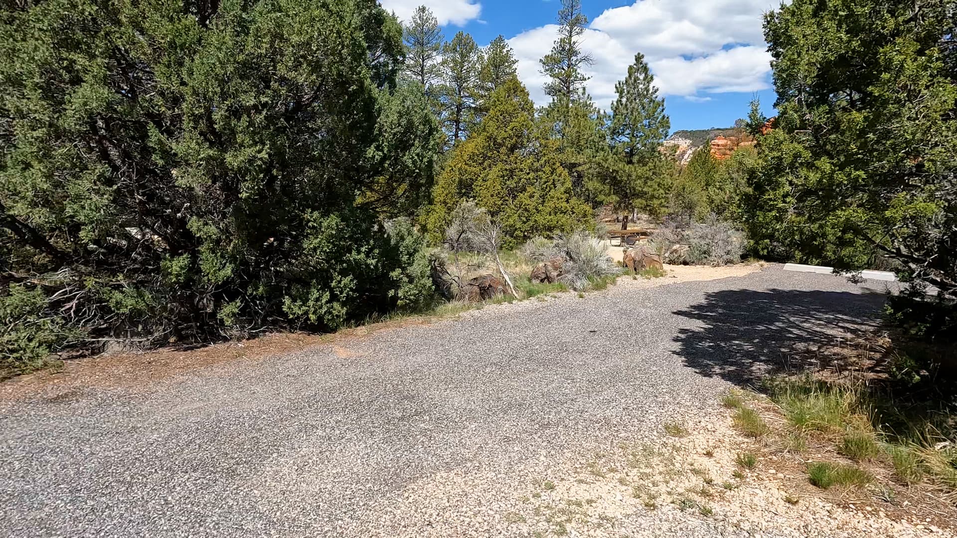 Site 8