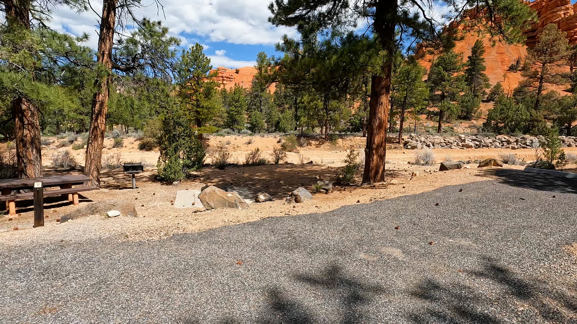 Site 11