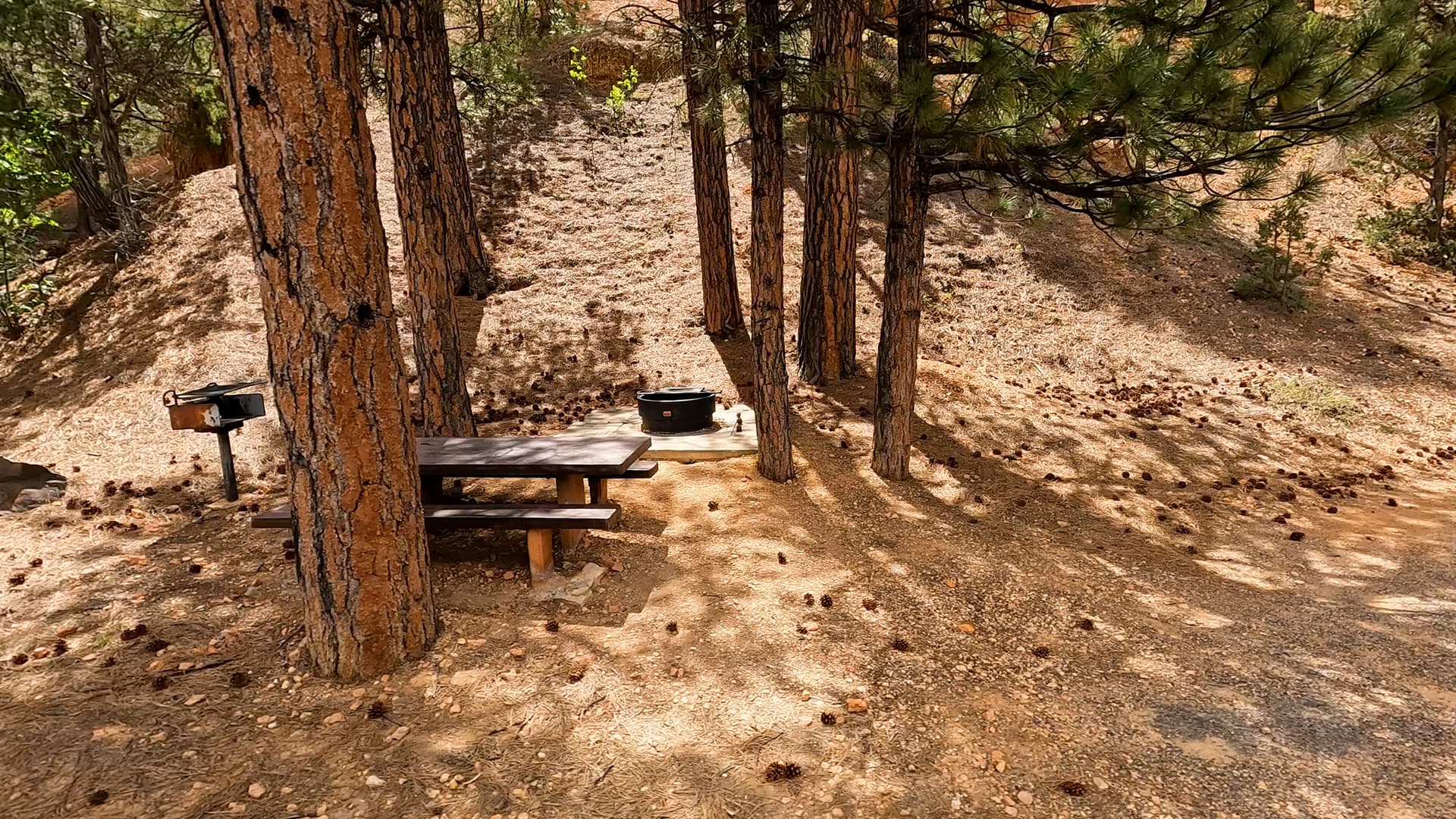 Site 20
