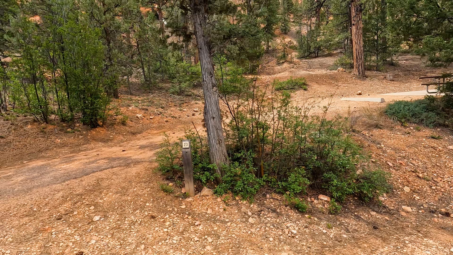 Site 23