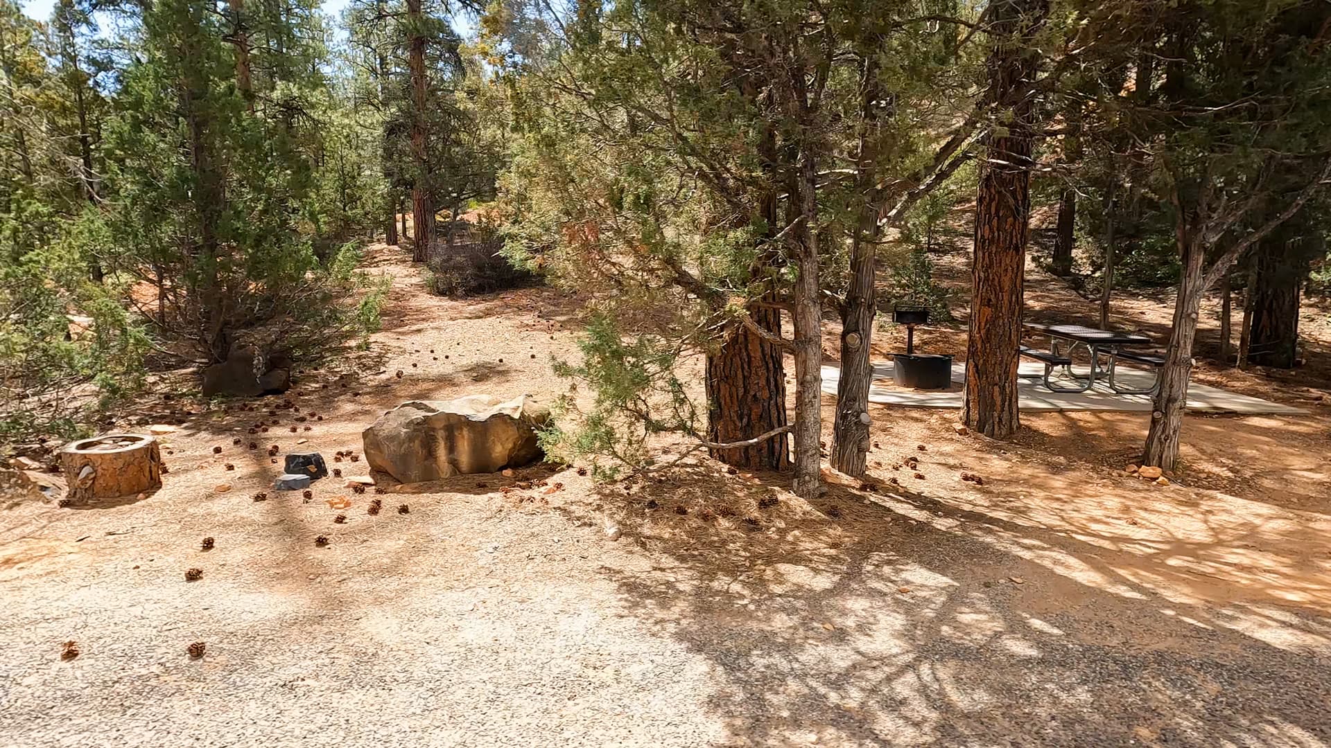 Site 15