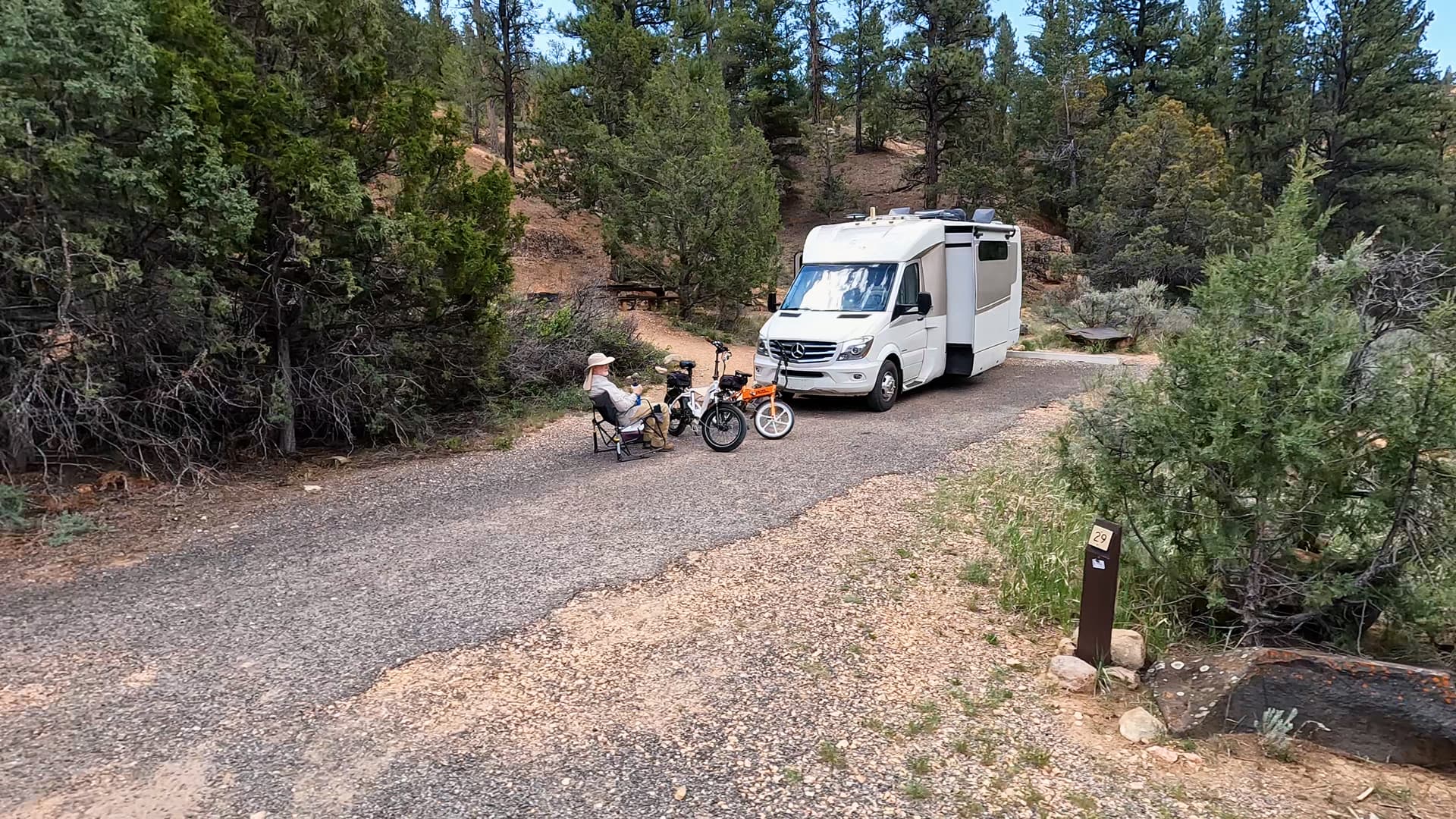 Site 29