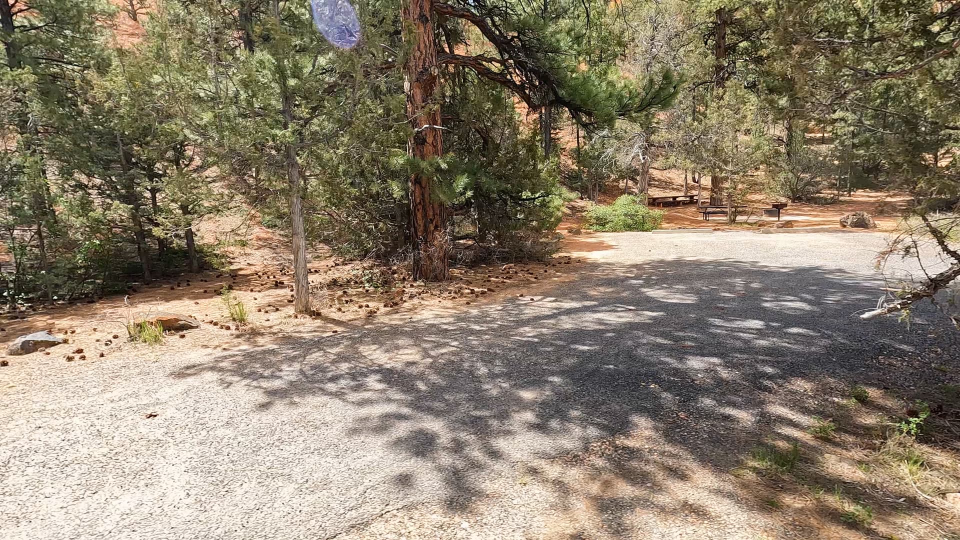 Site 19