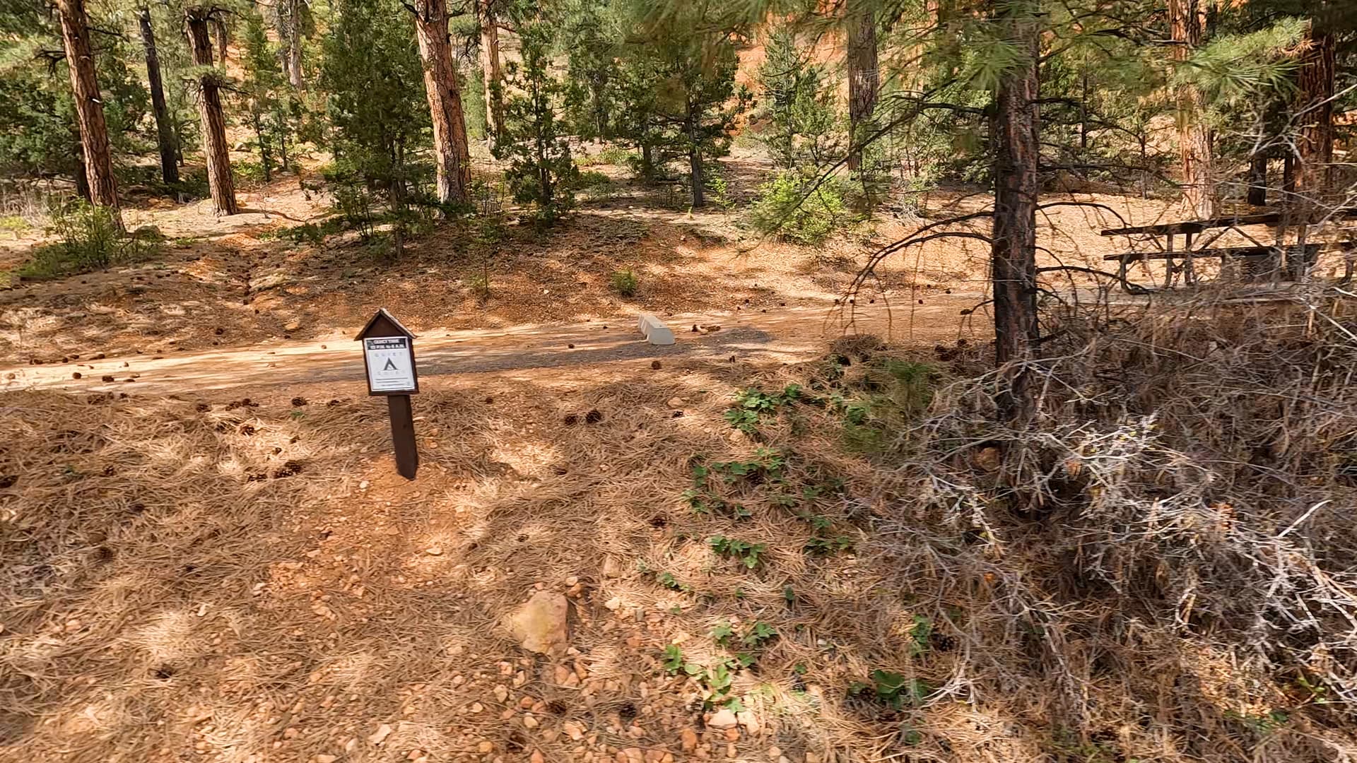 Site 22