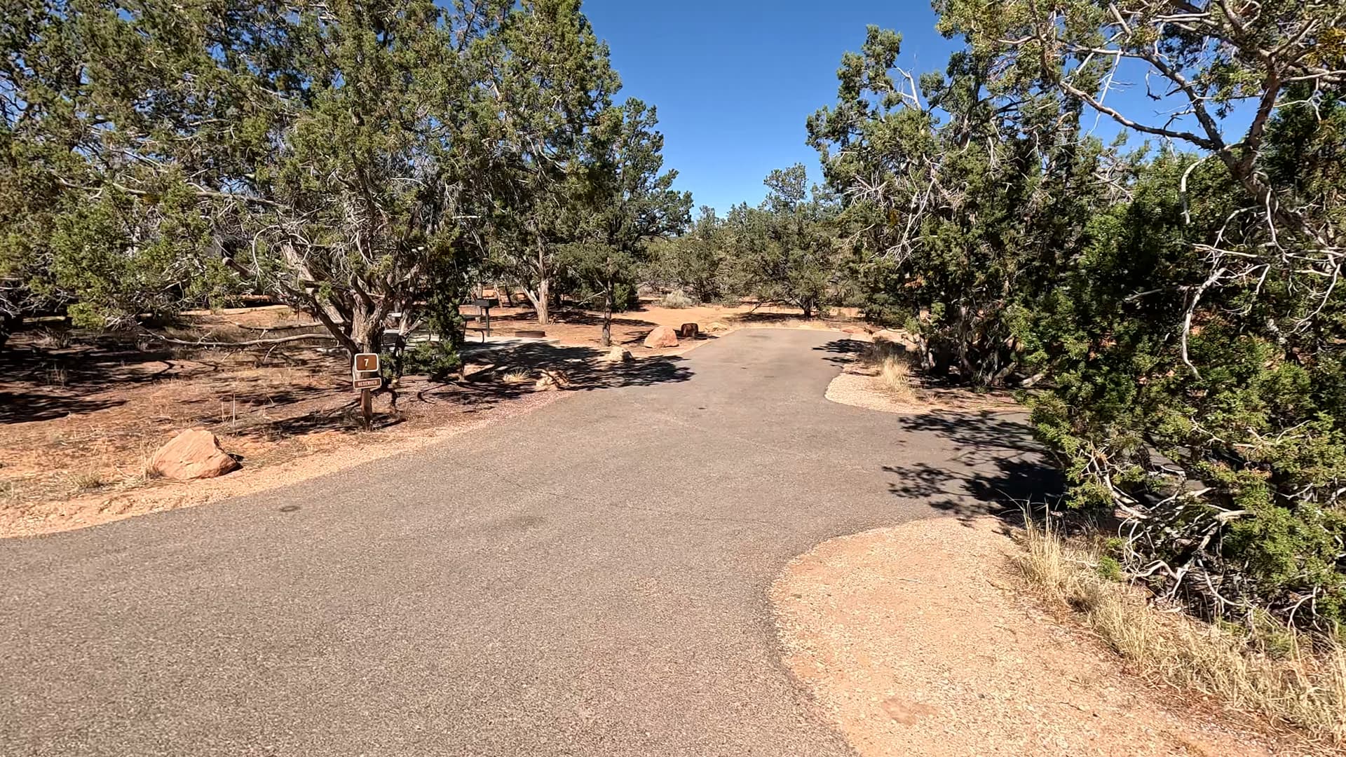 Site 7