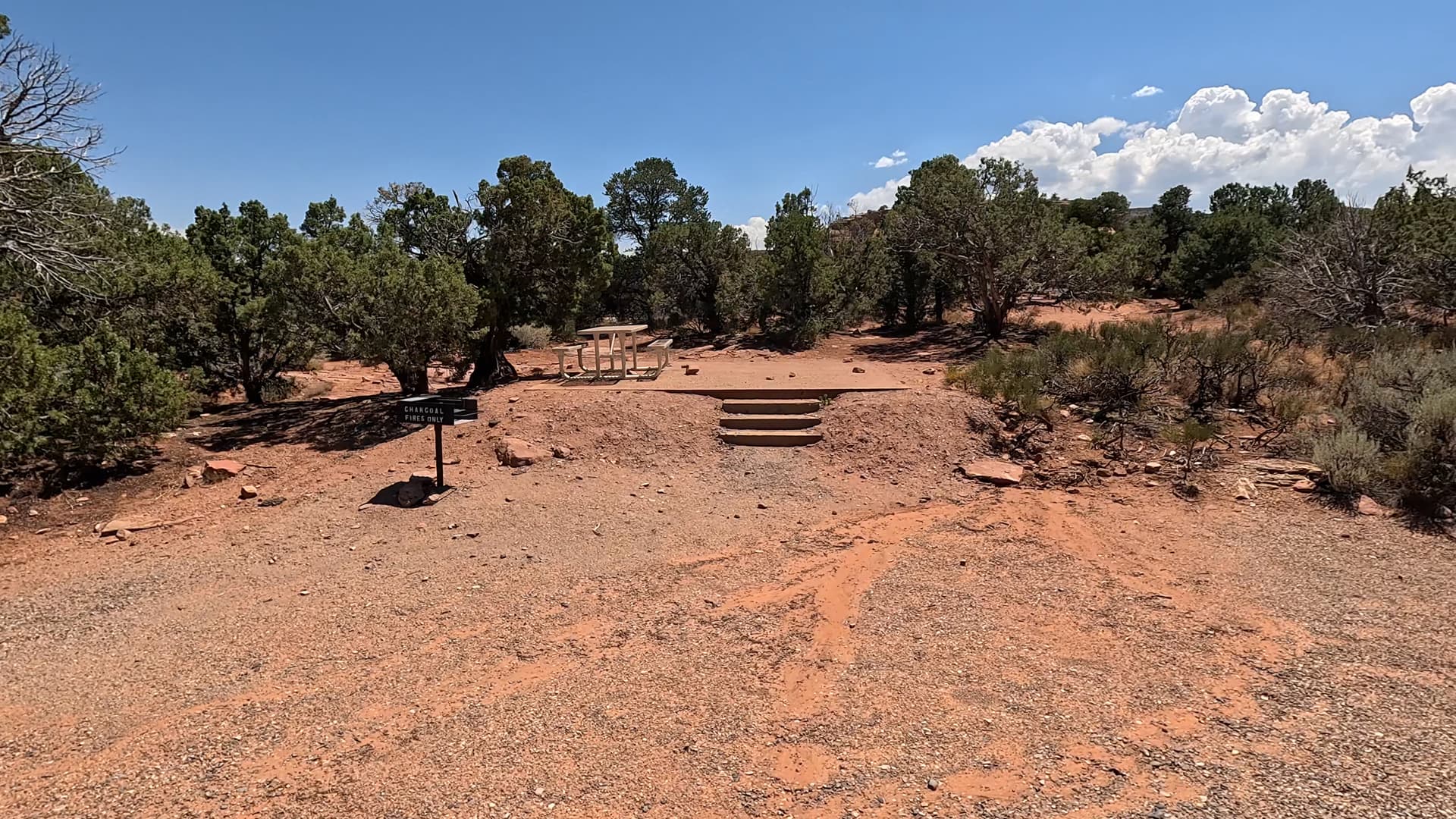 Site 12