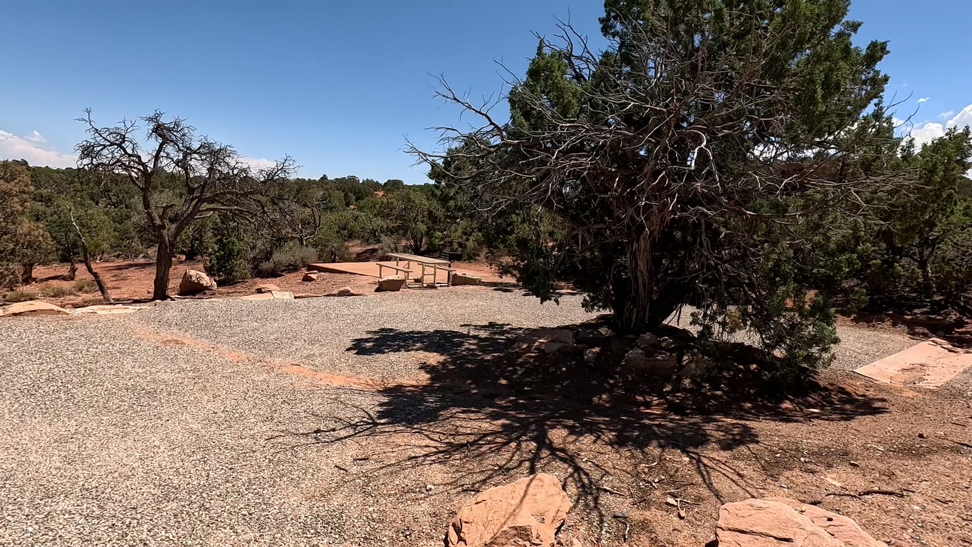 Site 6