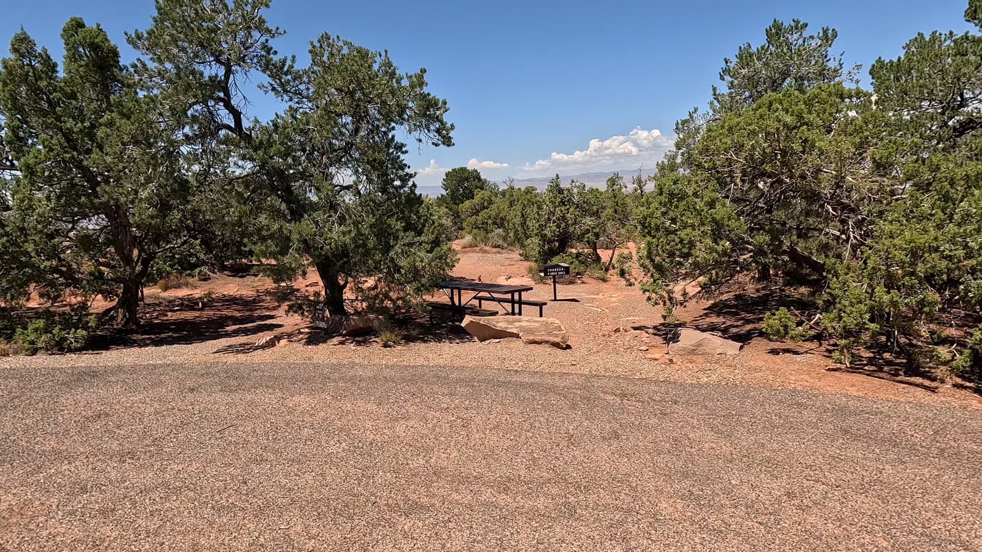 Site 29