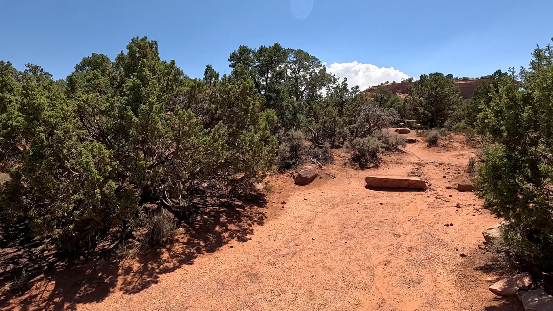 Site 53