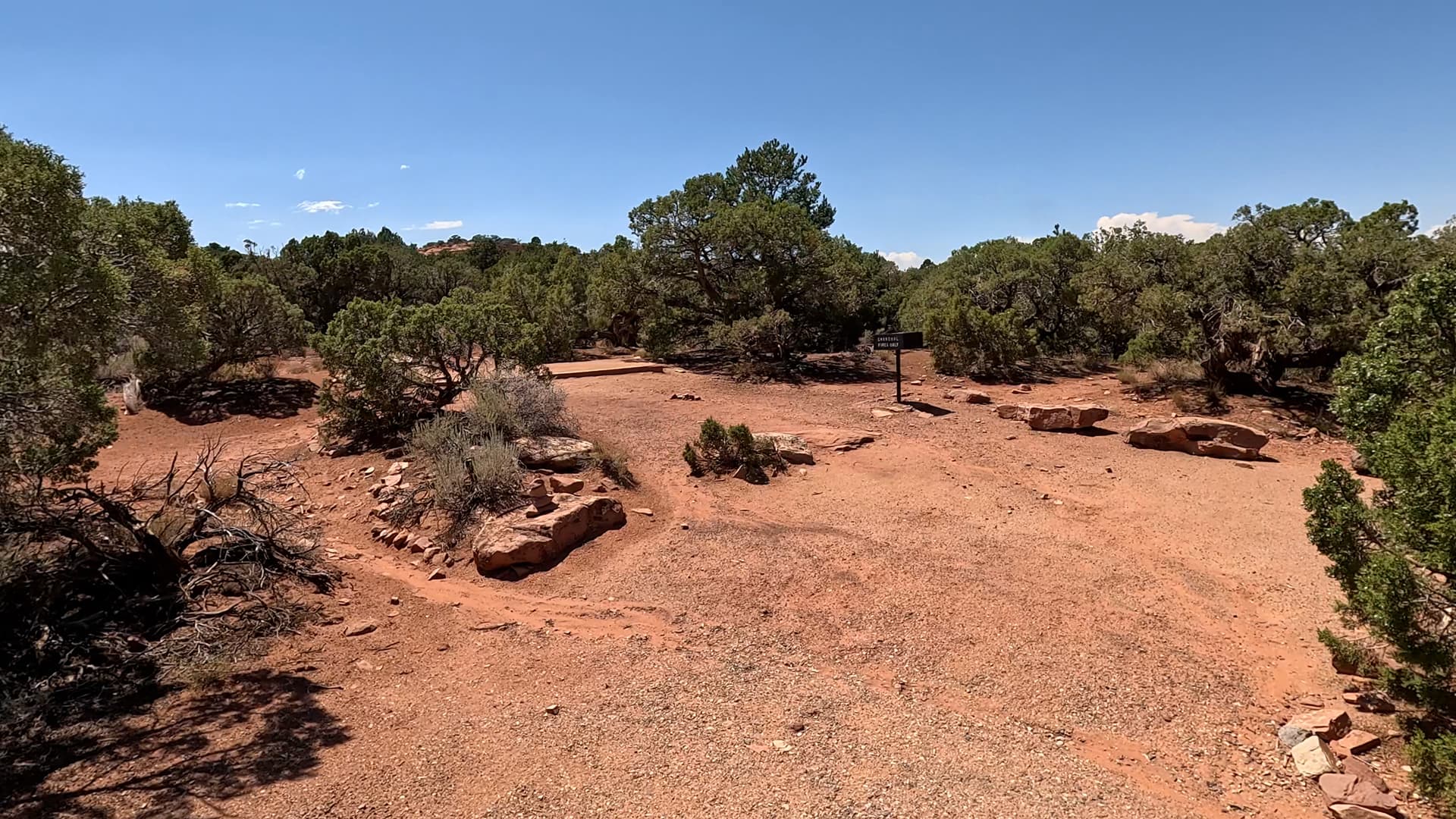 Site 77