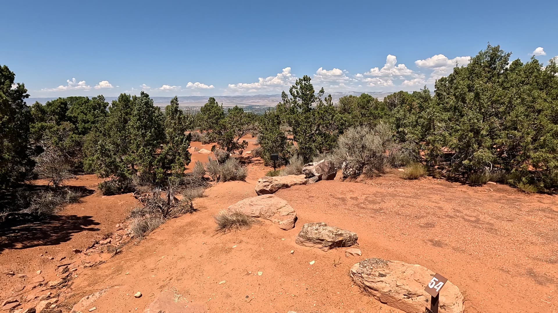 Site 54