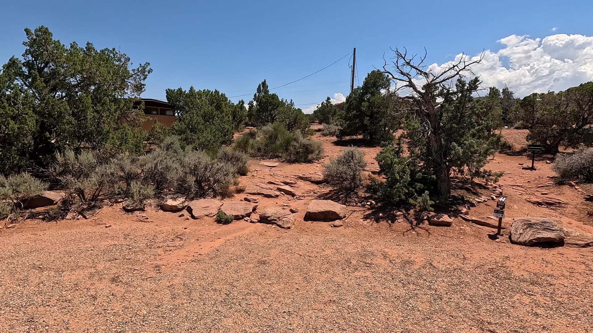 Site 44