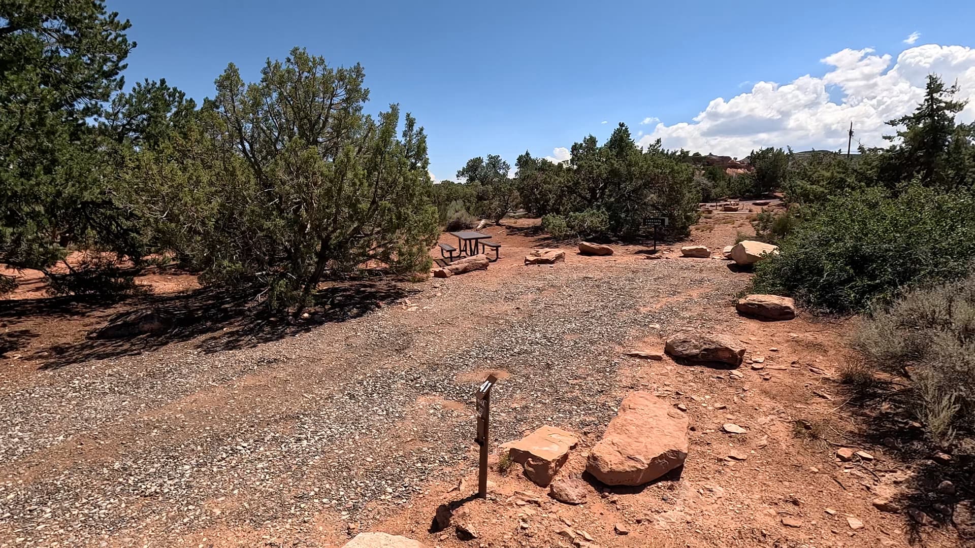 Site 41
