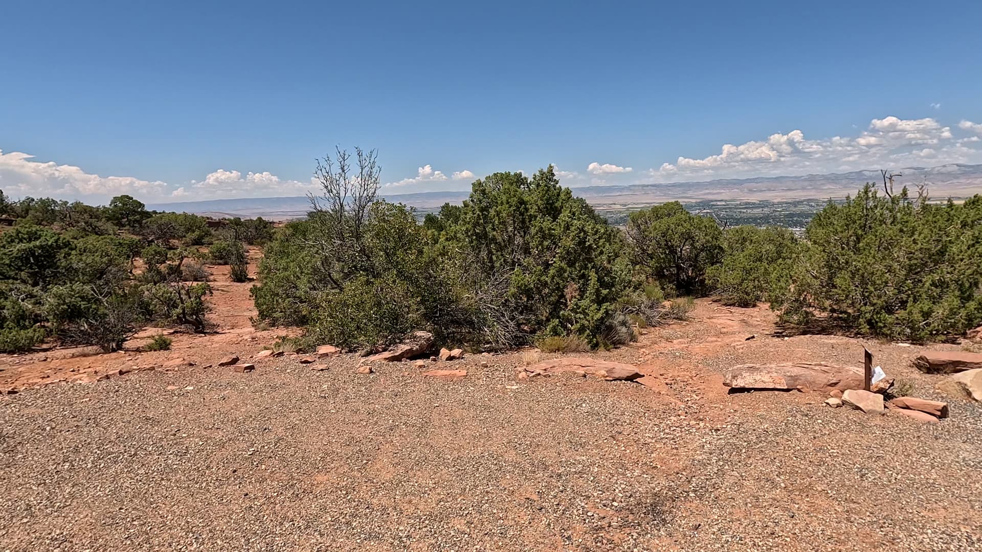 Site 43