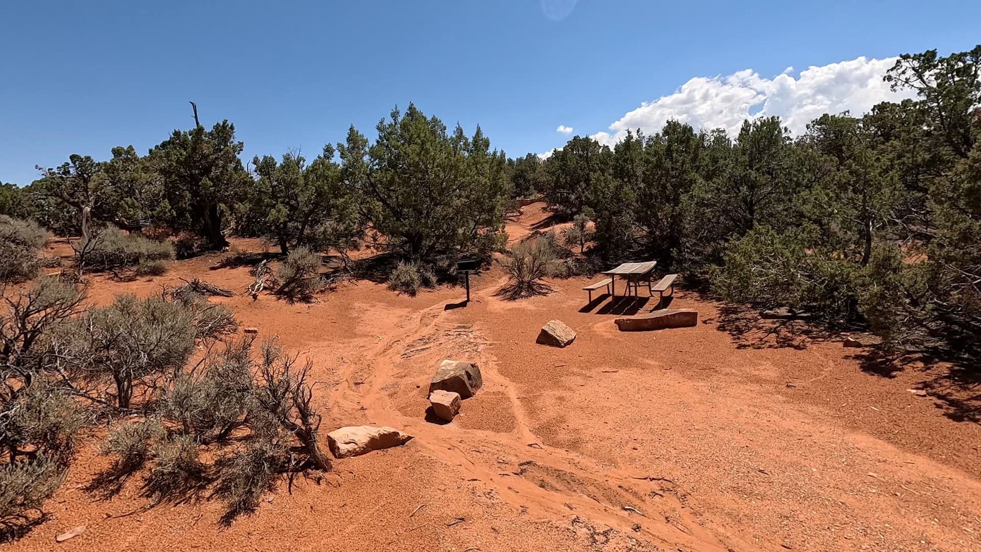 Site 55
