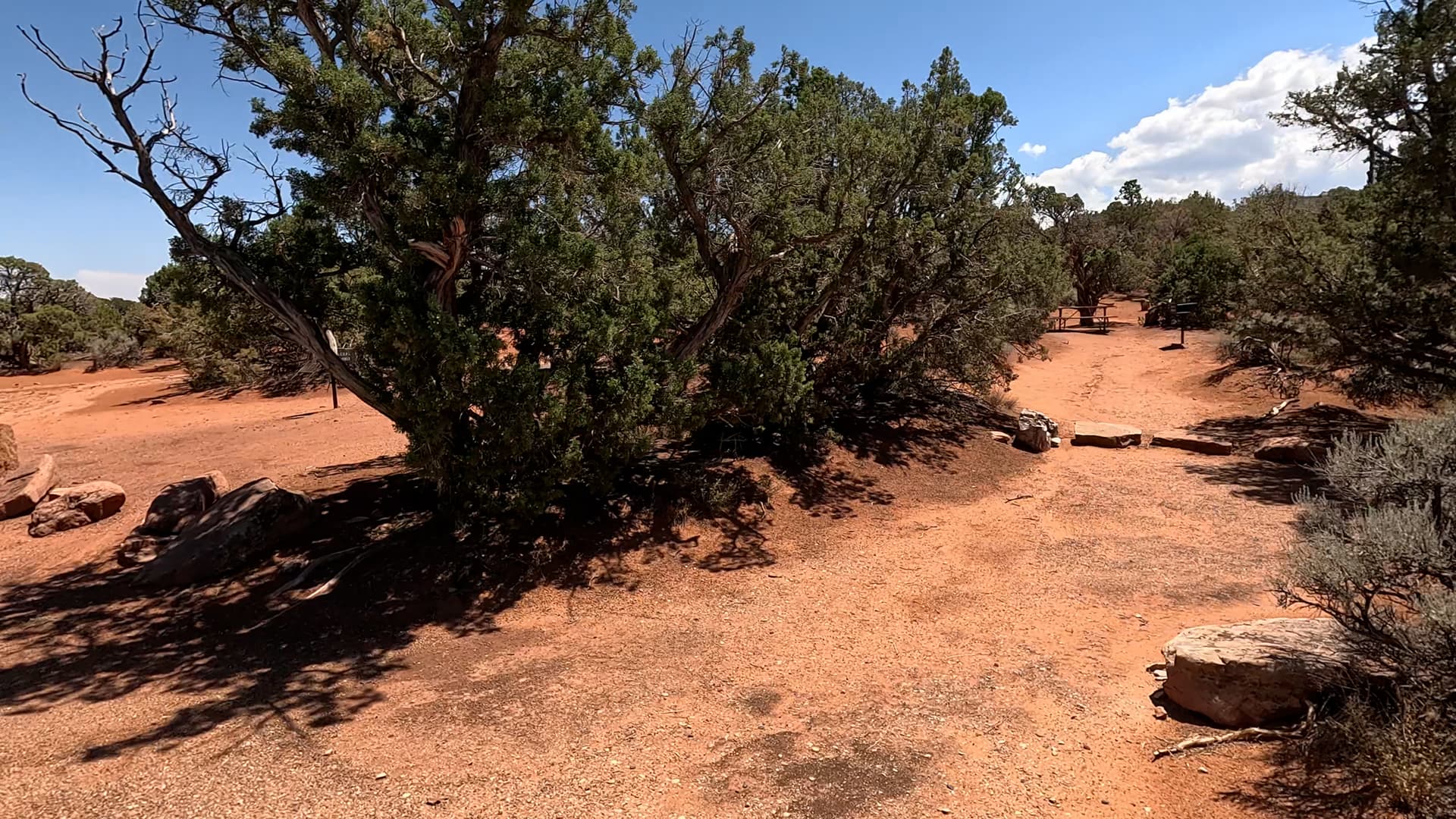 Site 57