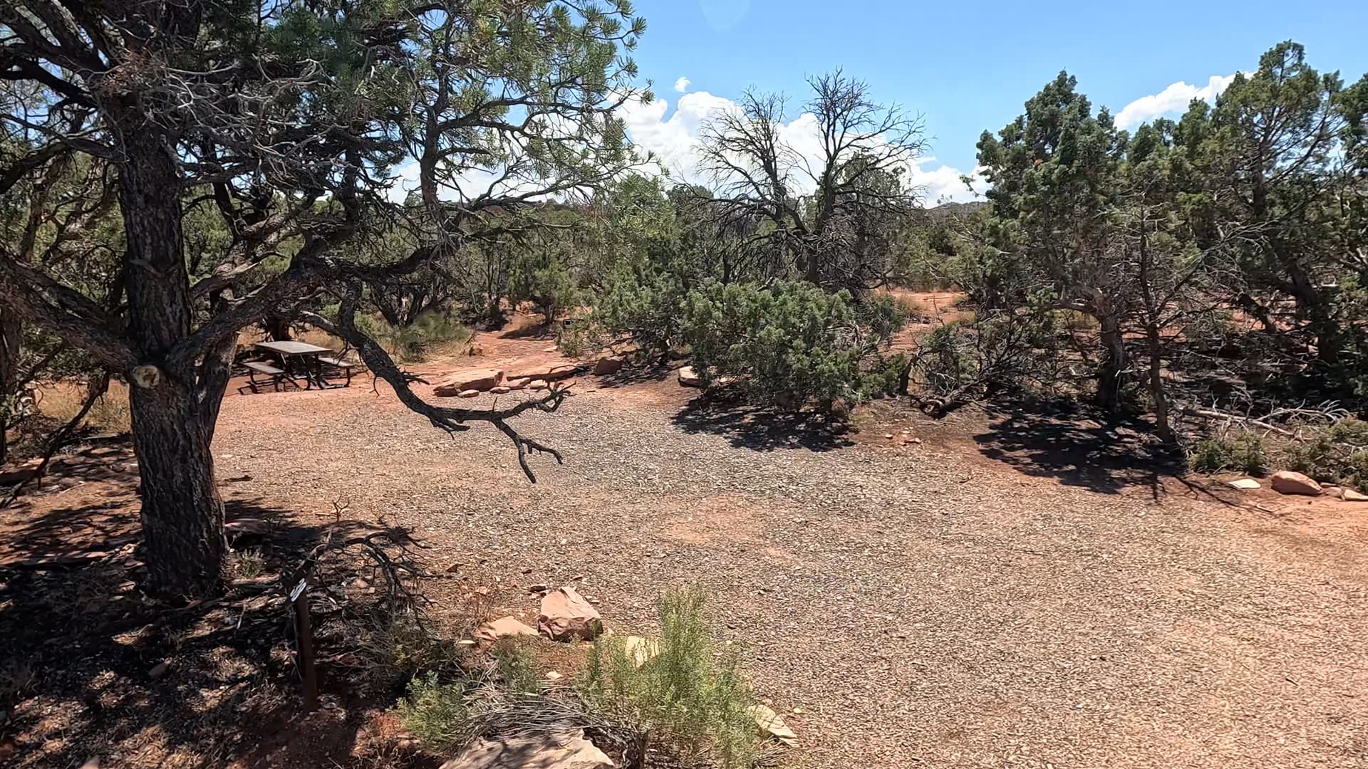 Site 38