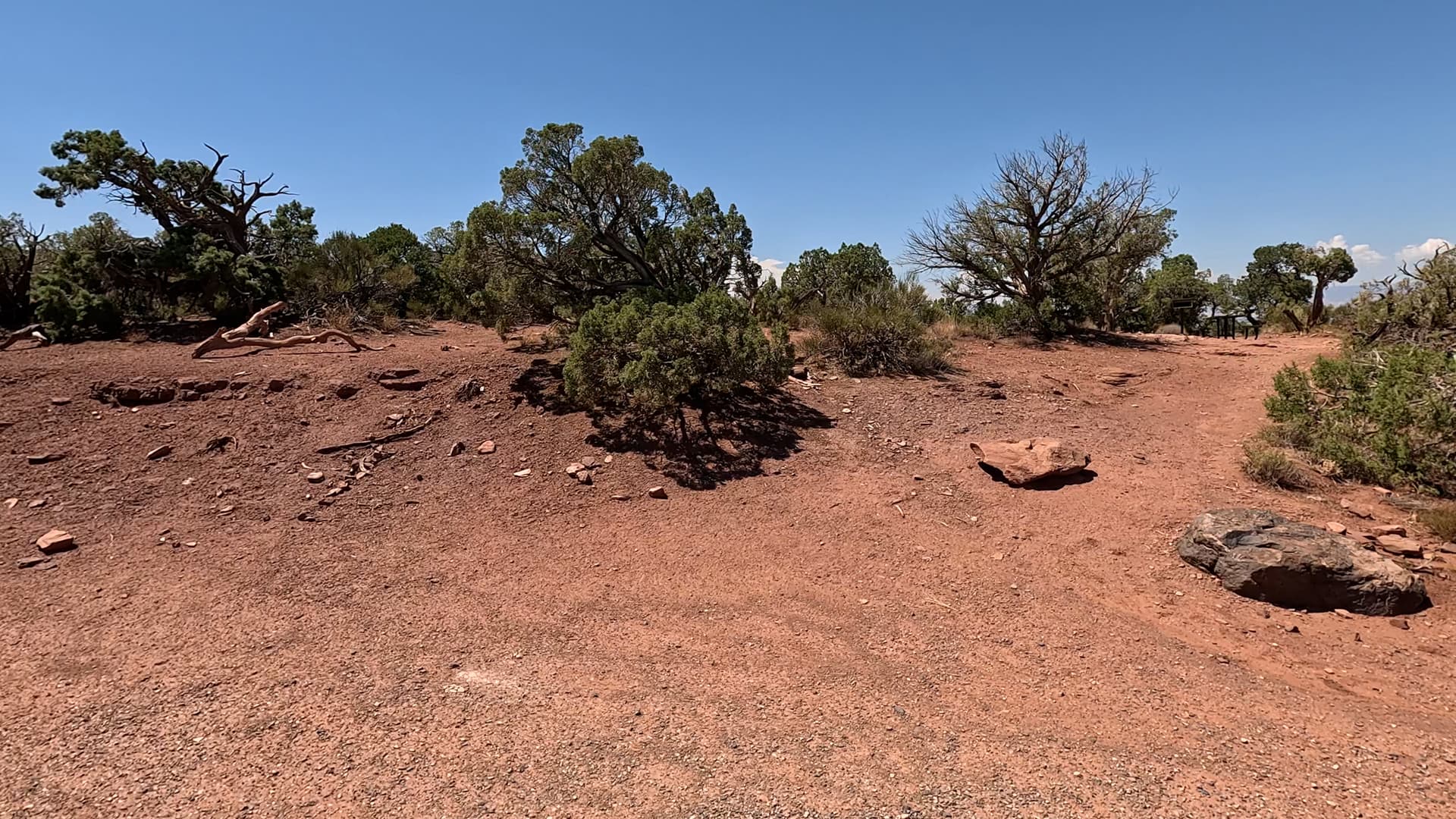 Site 49