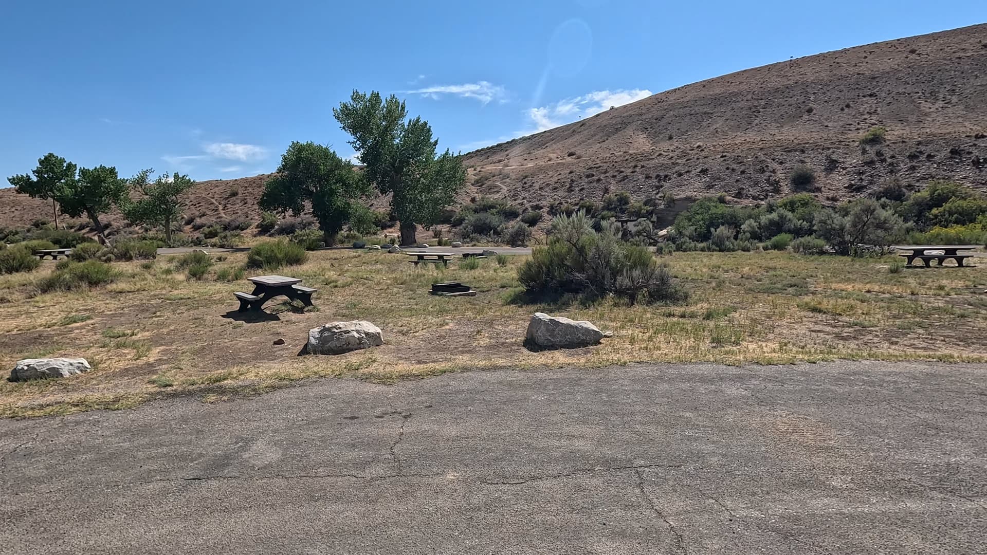 Site 7
