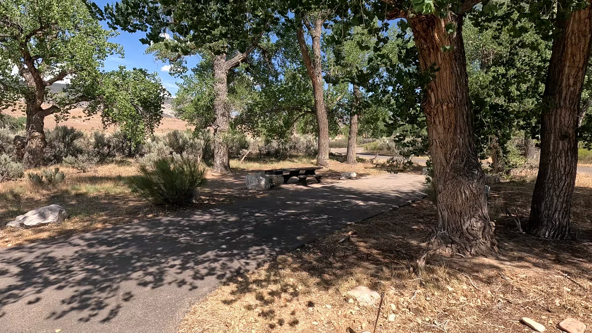 Site 1