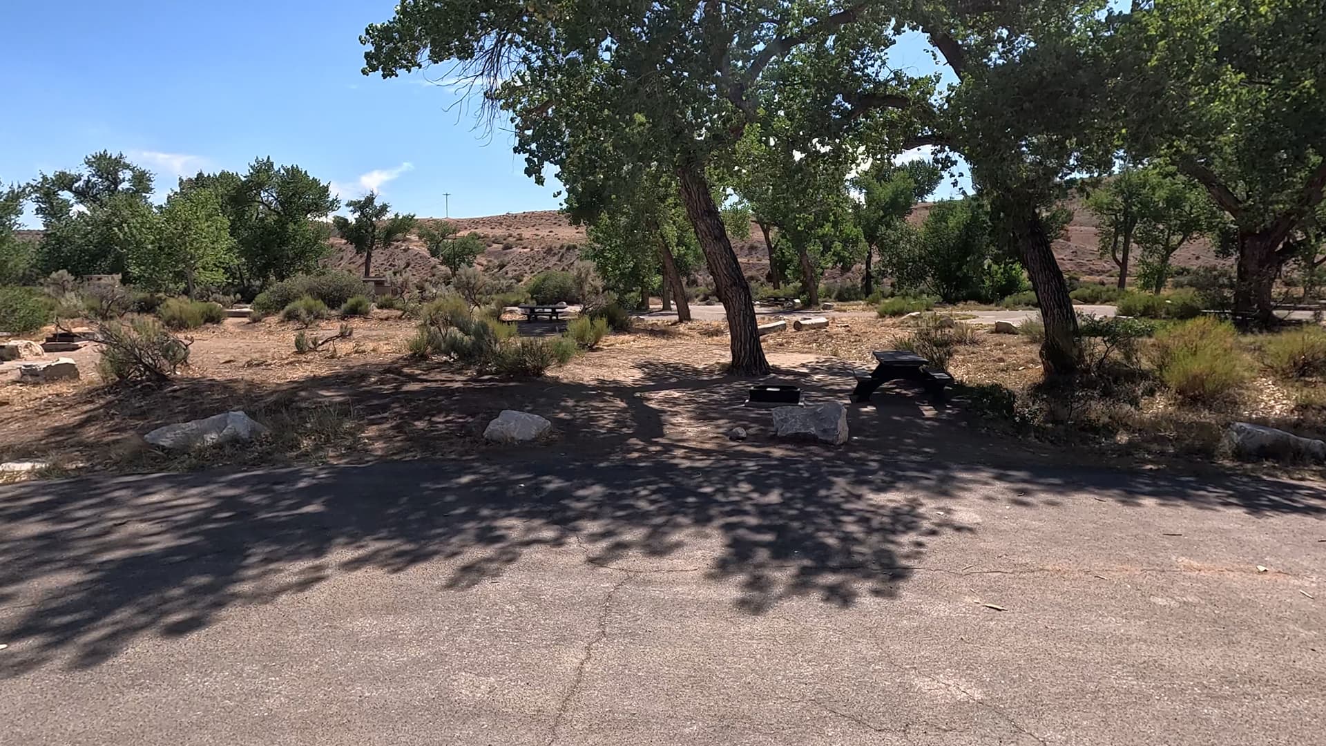 Site 24