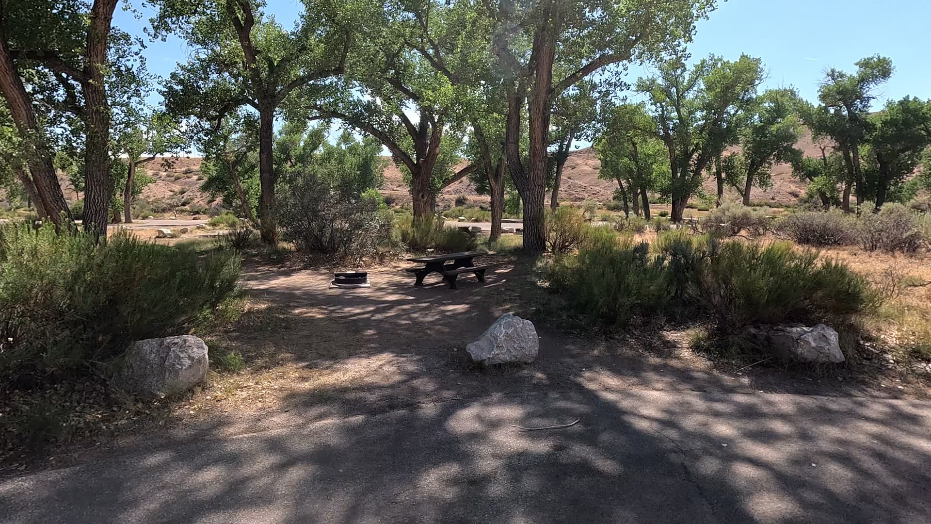 Site 23
