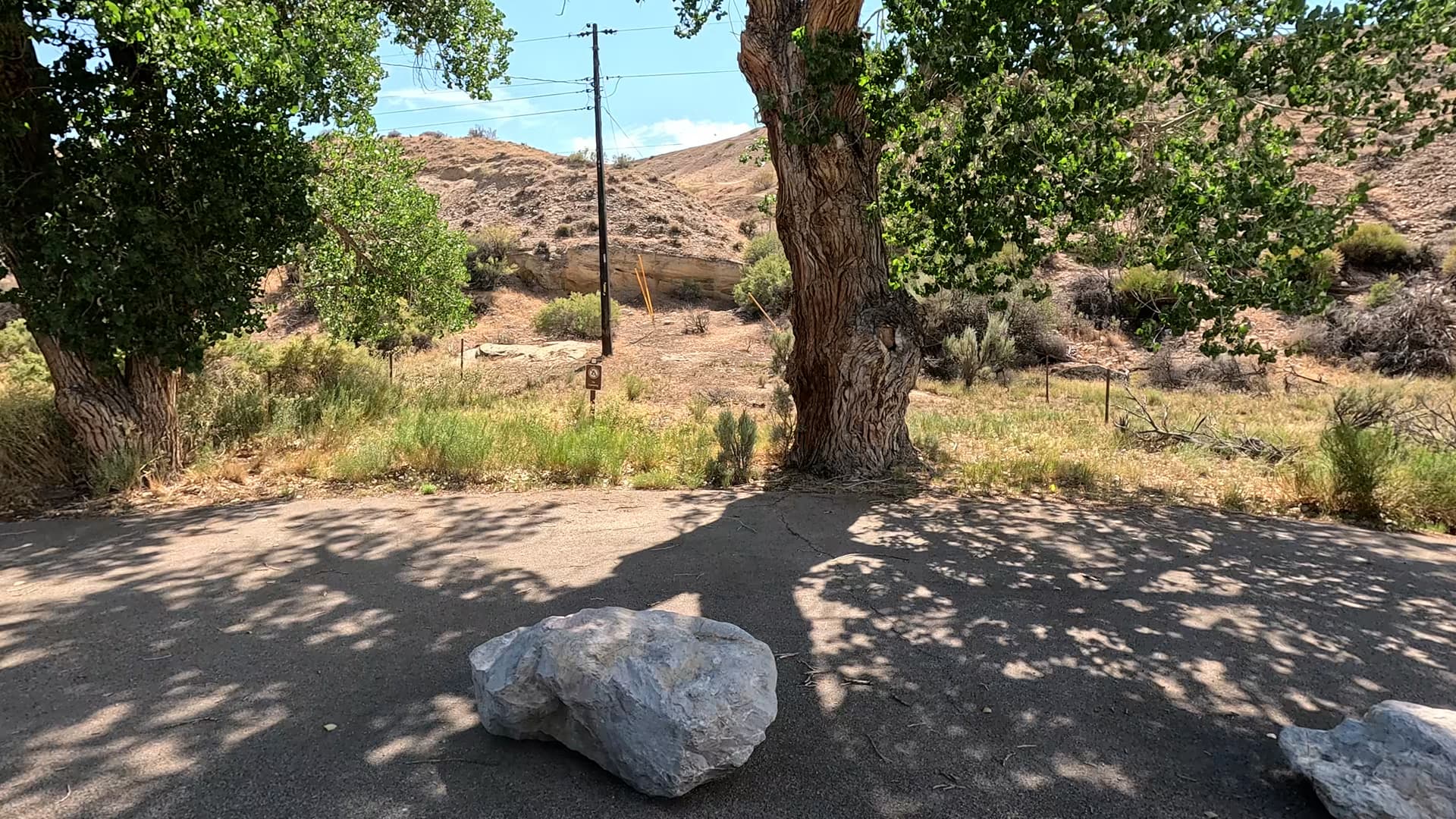Site 13