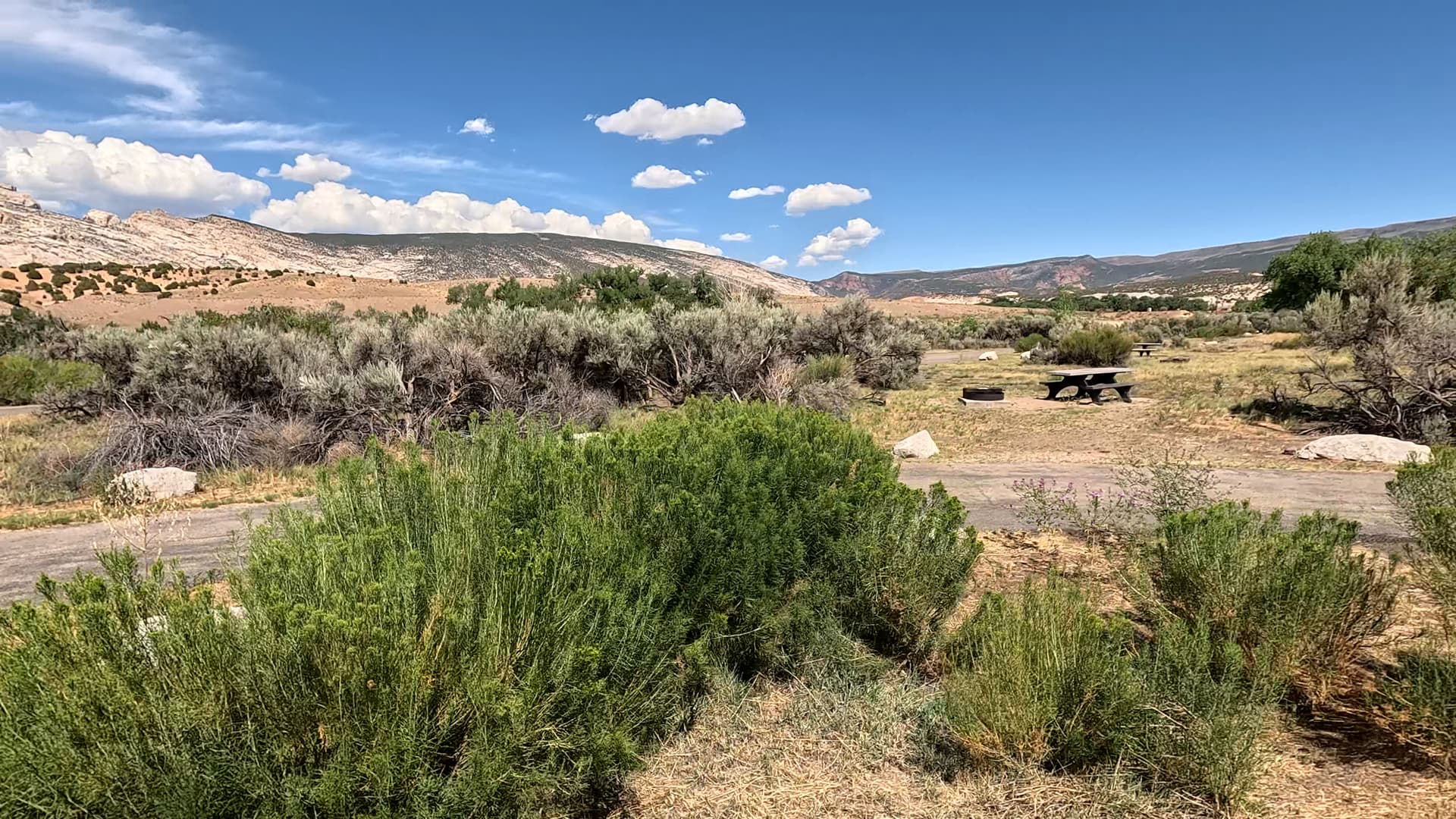 Site 11