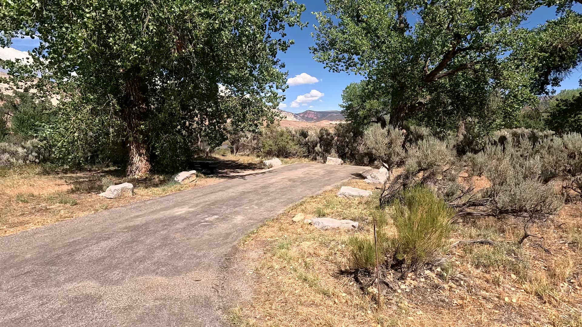 Site 3