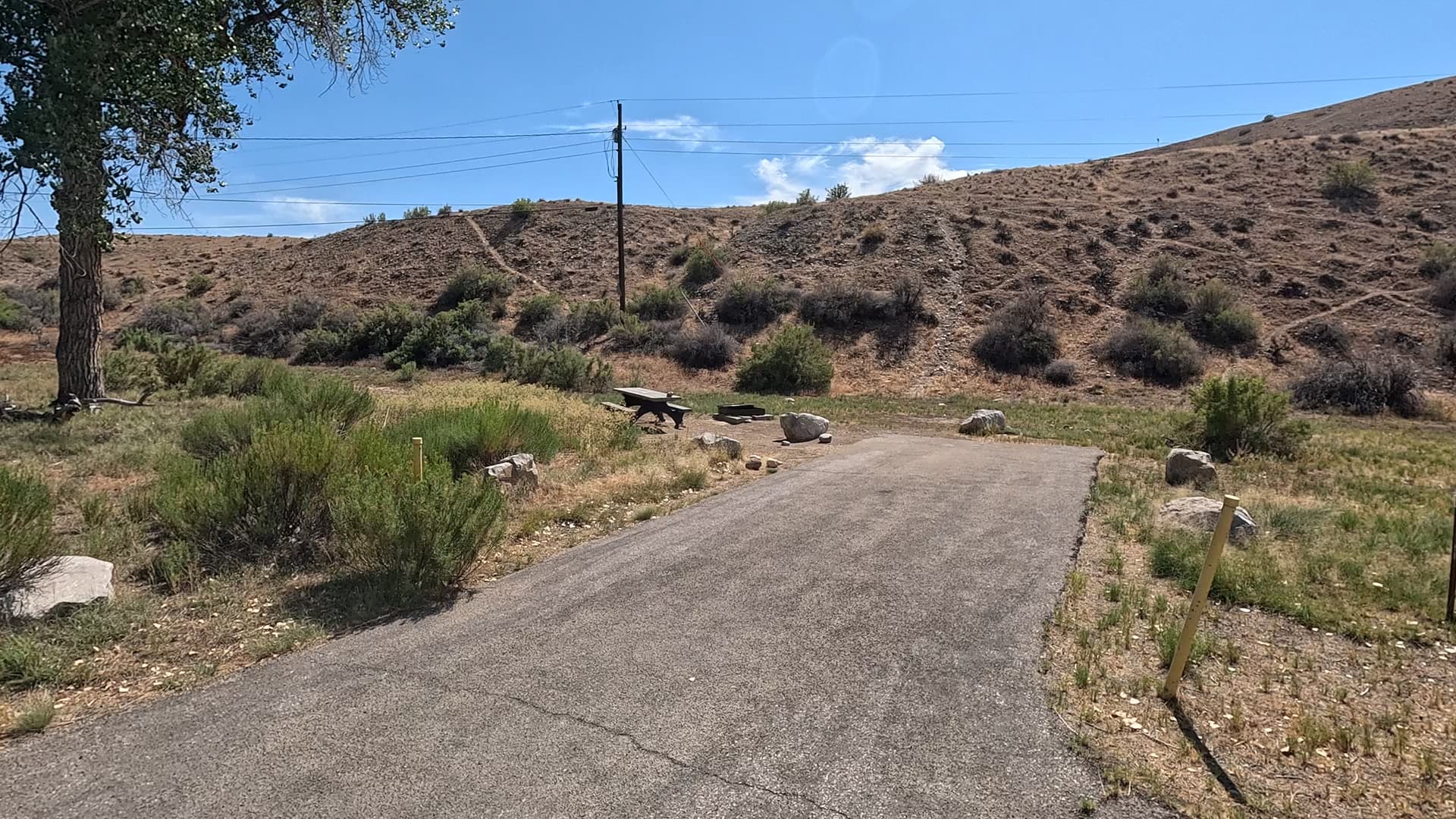 Site 19