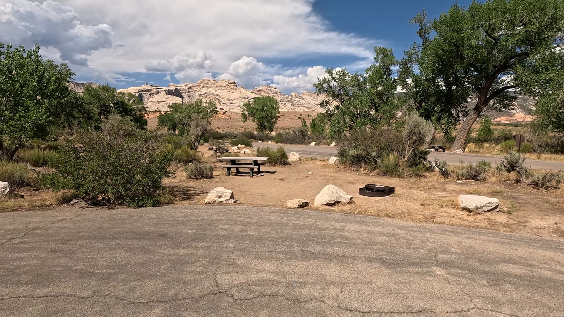 Site 29