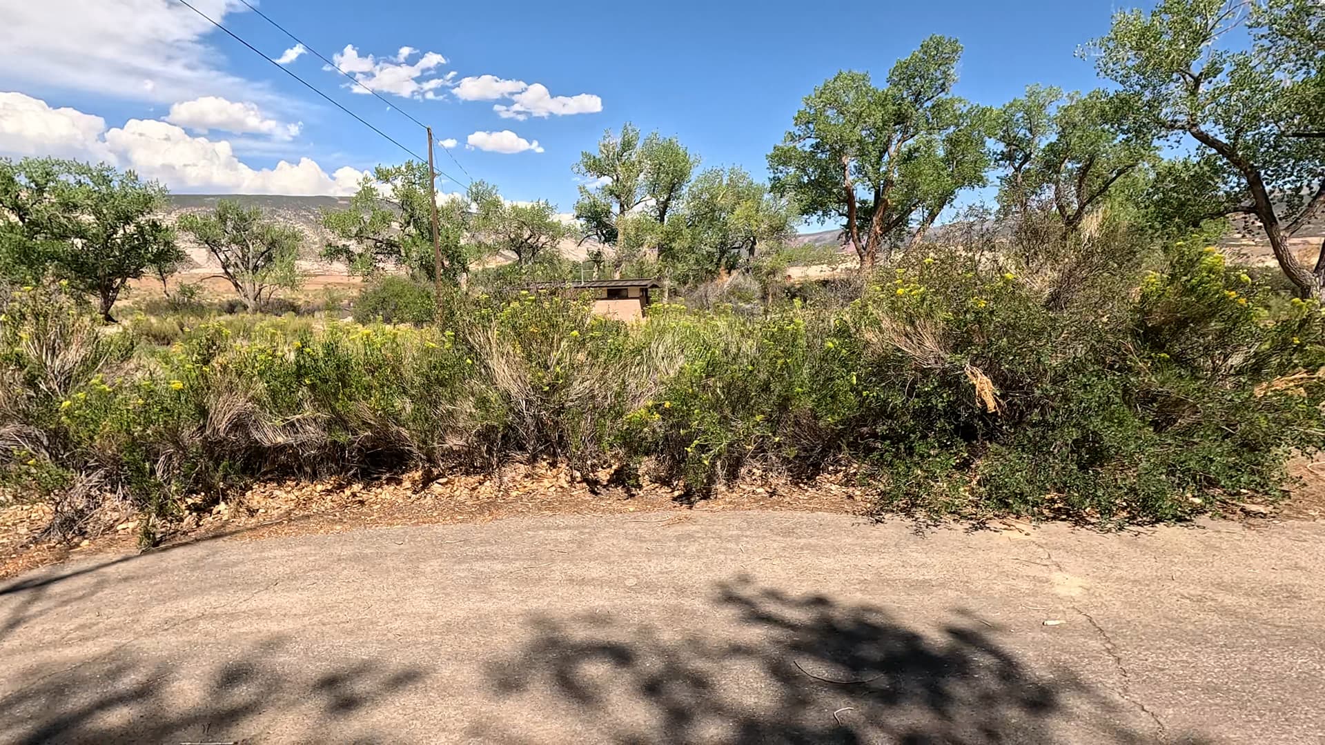 Site 62