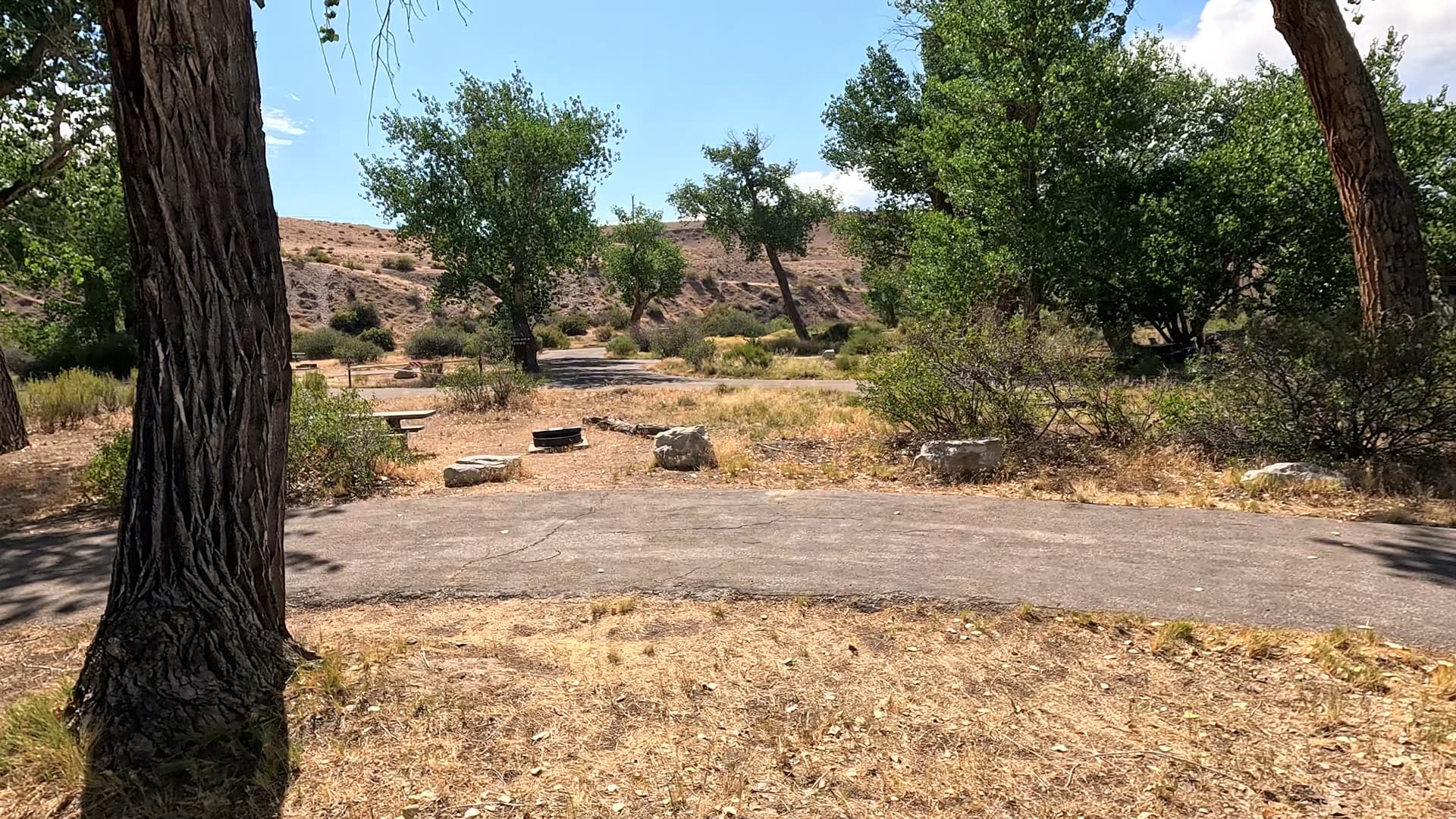 Site 81