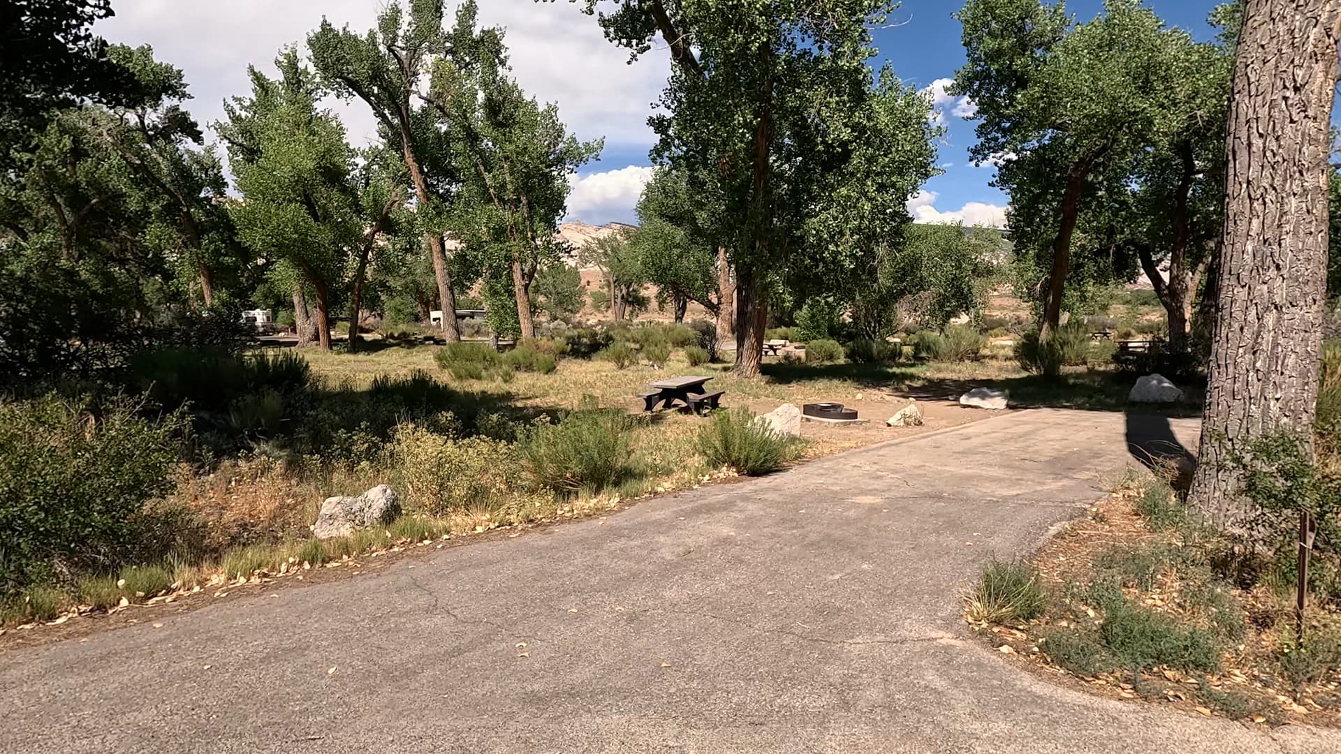 Site 50