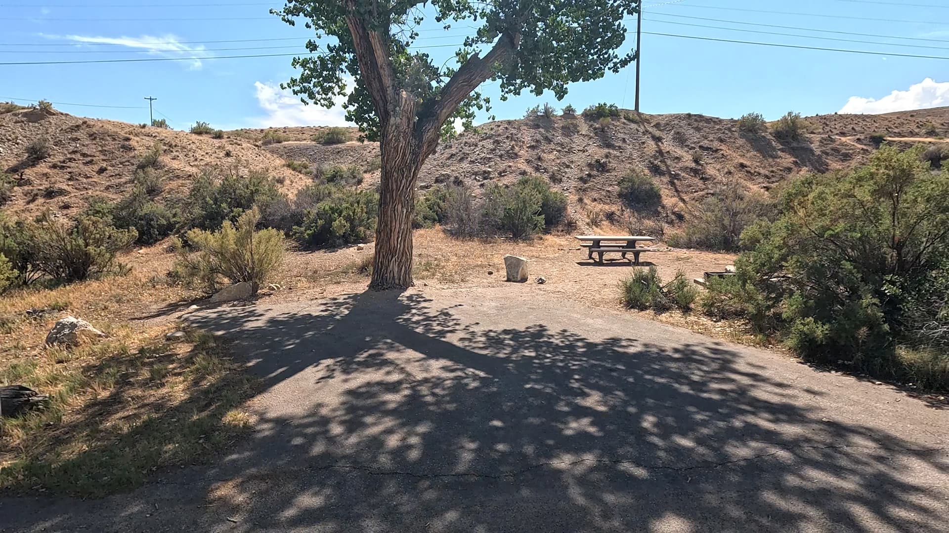 Site 44