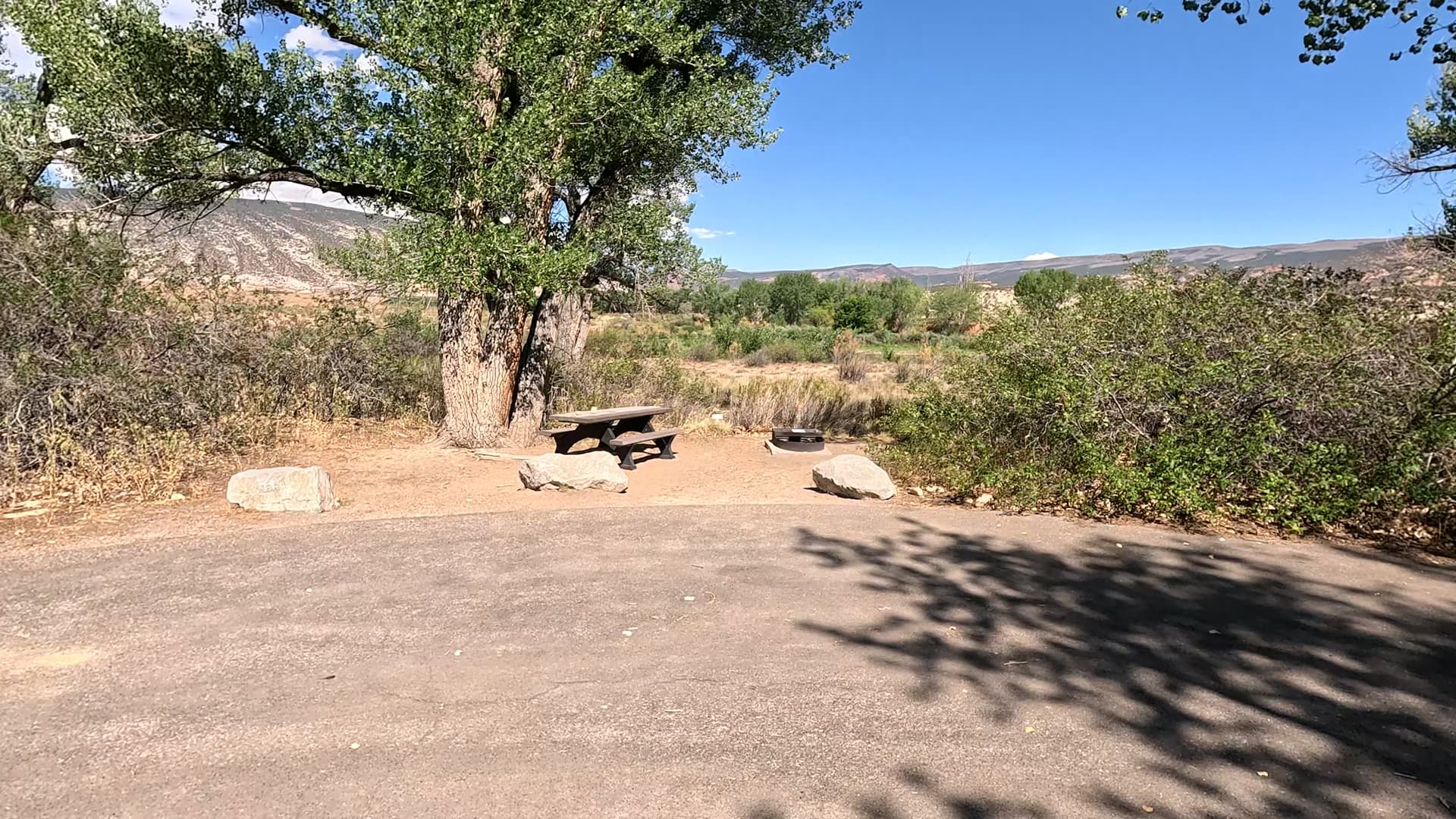 Site 82