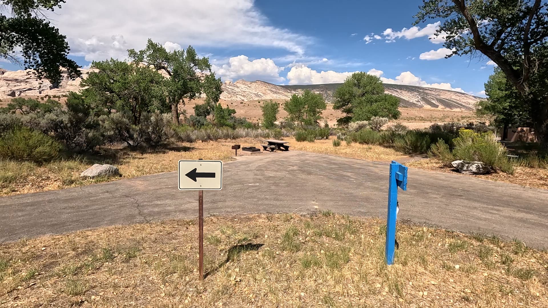 Site 41
