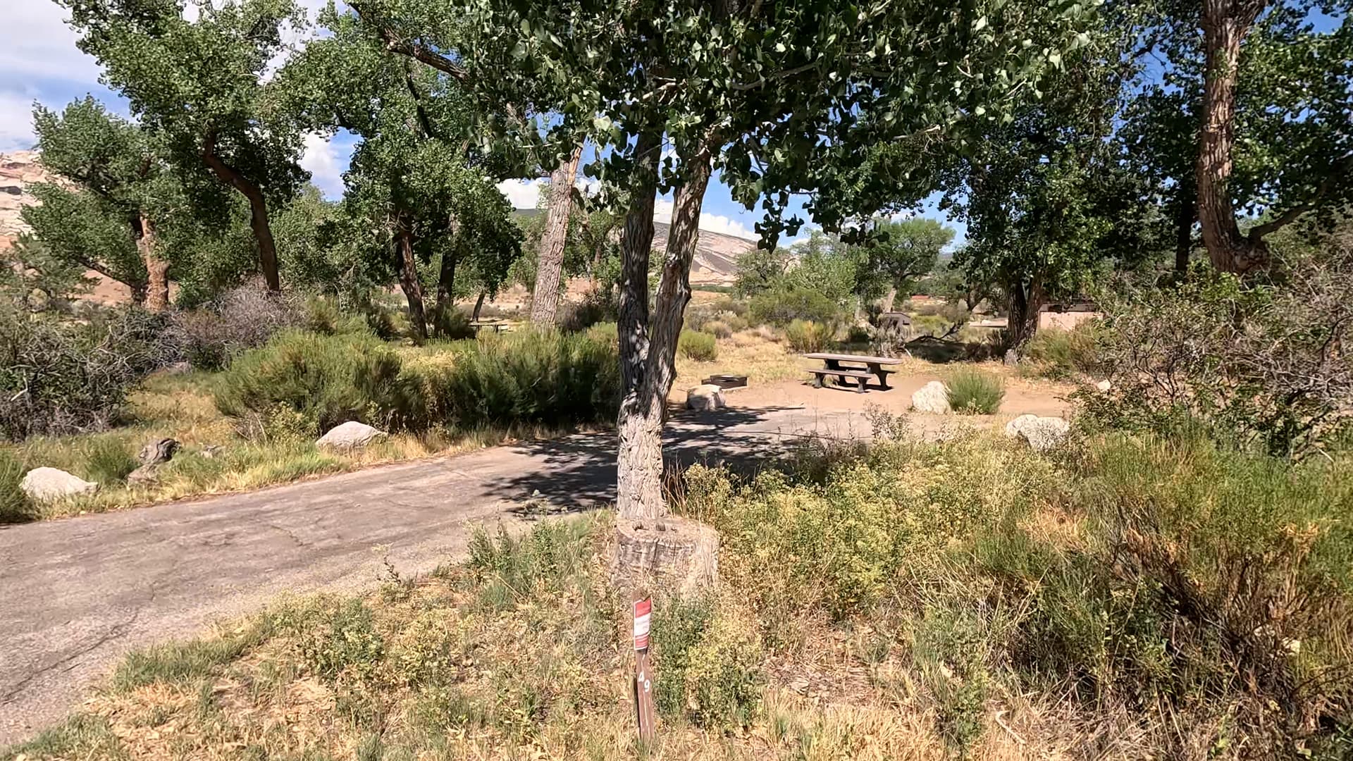 Site 49
