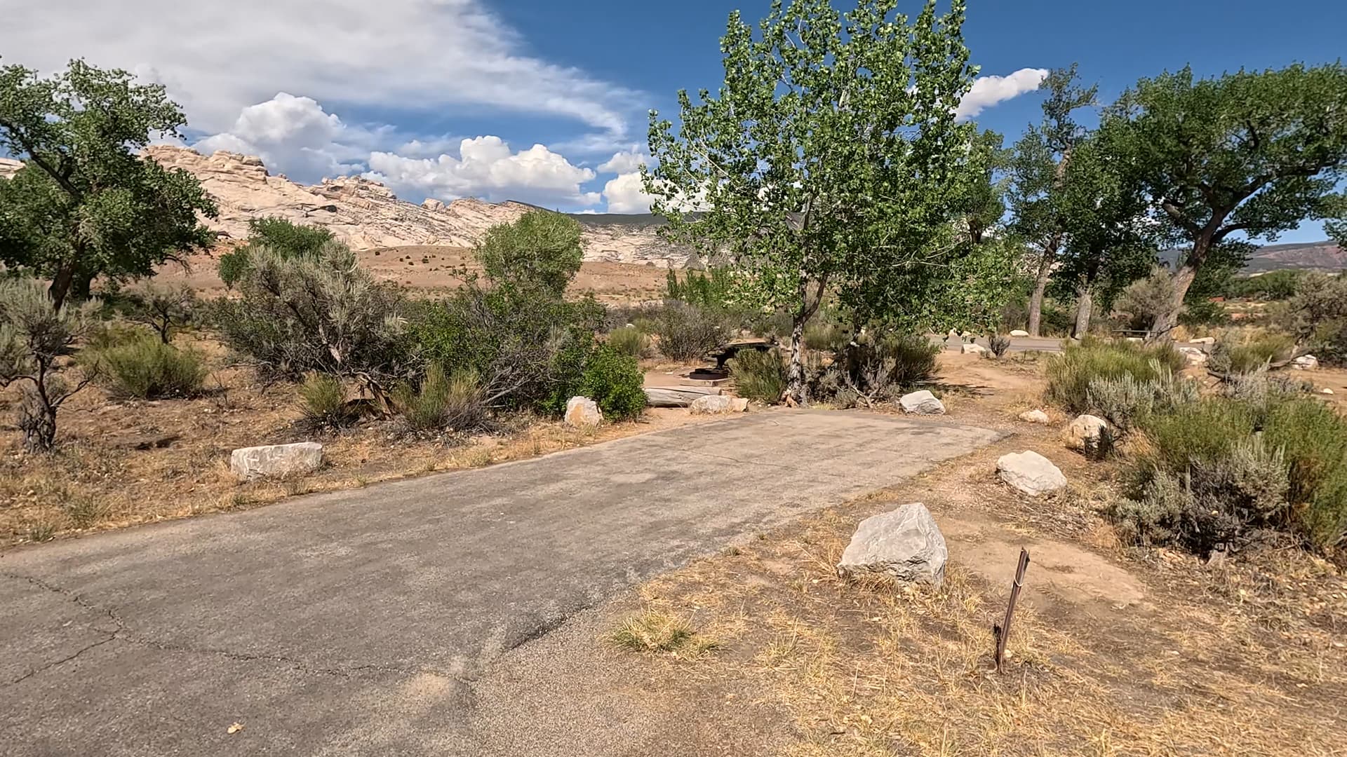 Site 31