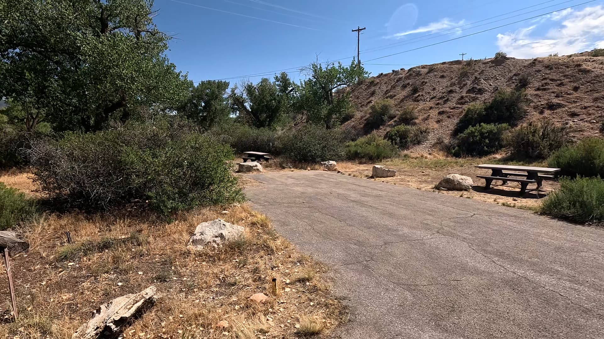 Site 43