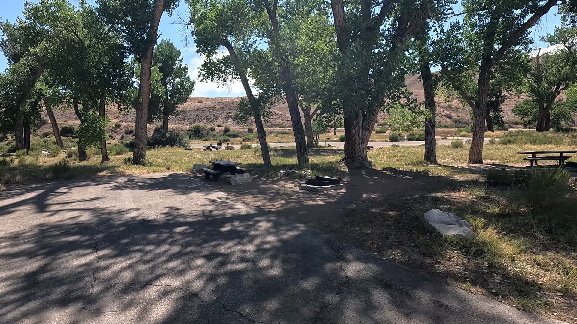Site 37